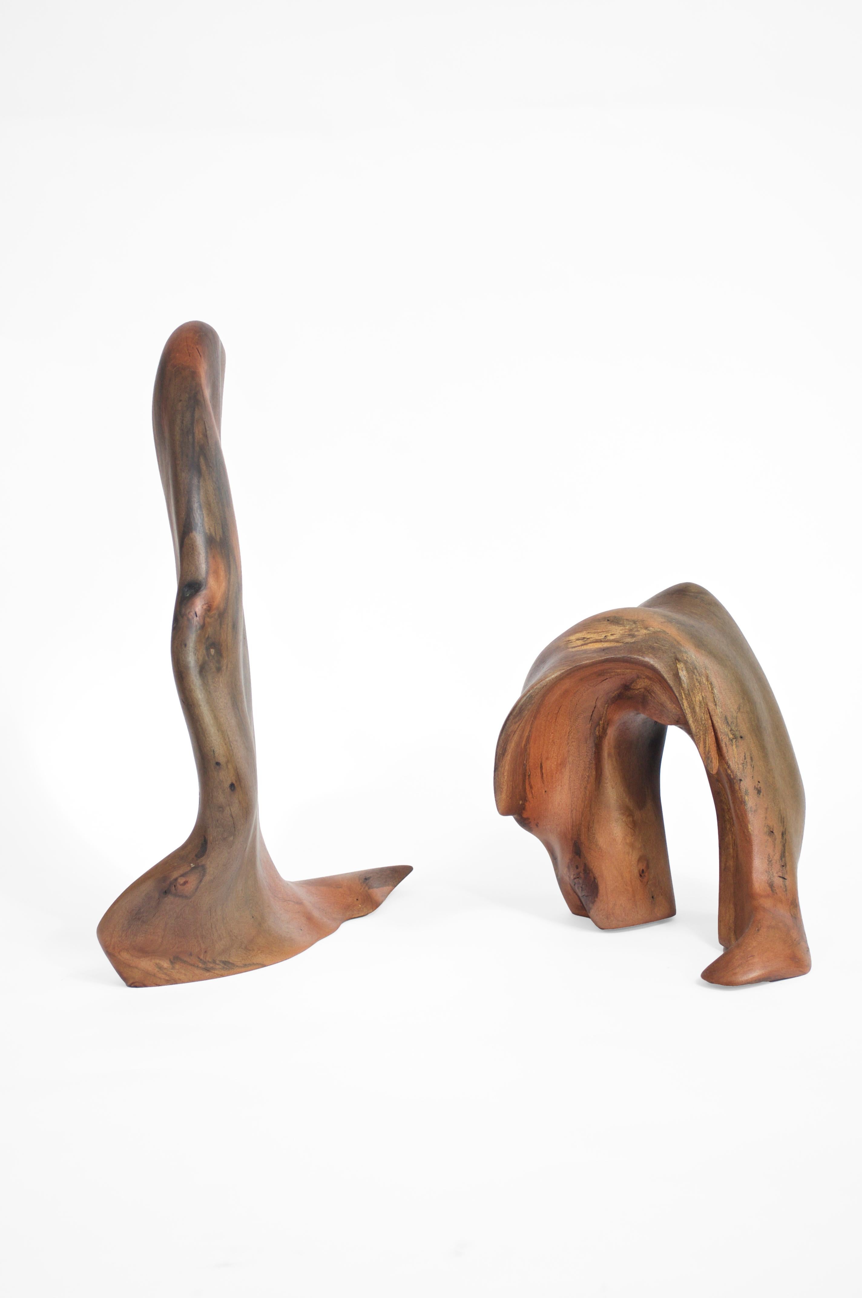 Set Of 2 S1346 Decorative Objects in Tropical Driftwood by Jörg Pietschmann
Dimensions: D 33 x W 17 x H 48 cm. 
D 25 x W 27 x H 26 cm.
Materials: Tropical driftwood.

In Pietschmann’s sculptures, trees that for centuries were part of a landscape and