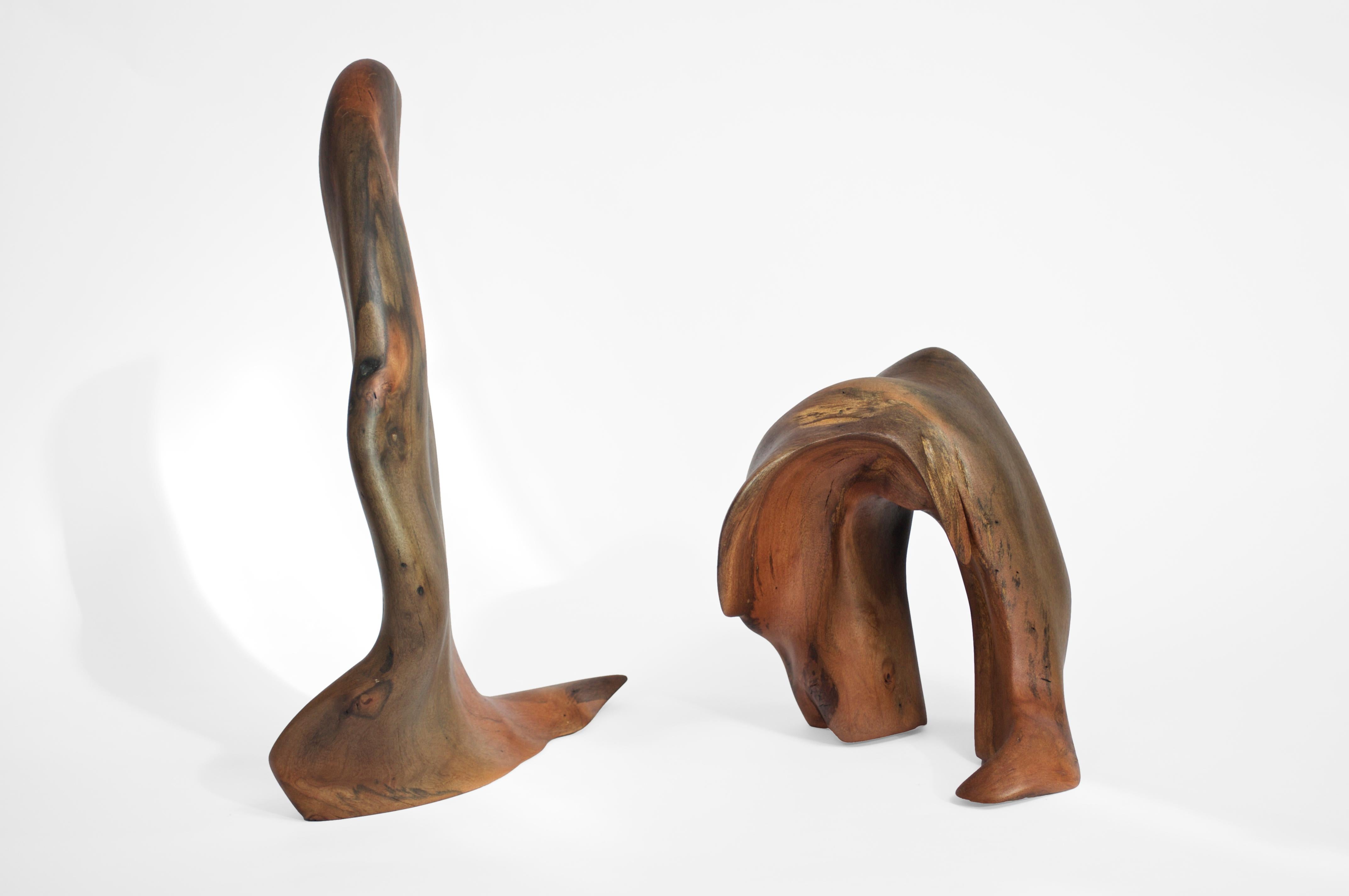 Post-Modern Set Of 2 S1346 Decorative Objects in Tropical Driftwood by Jörg Pietschmann For Sale