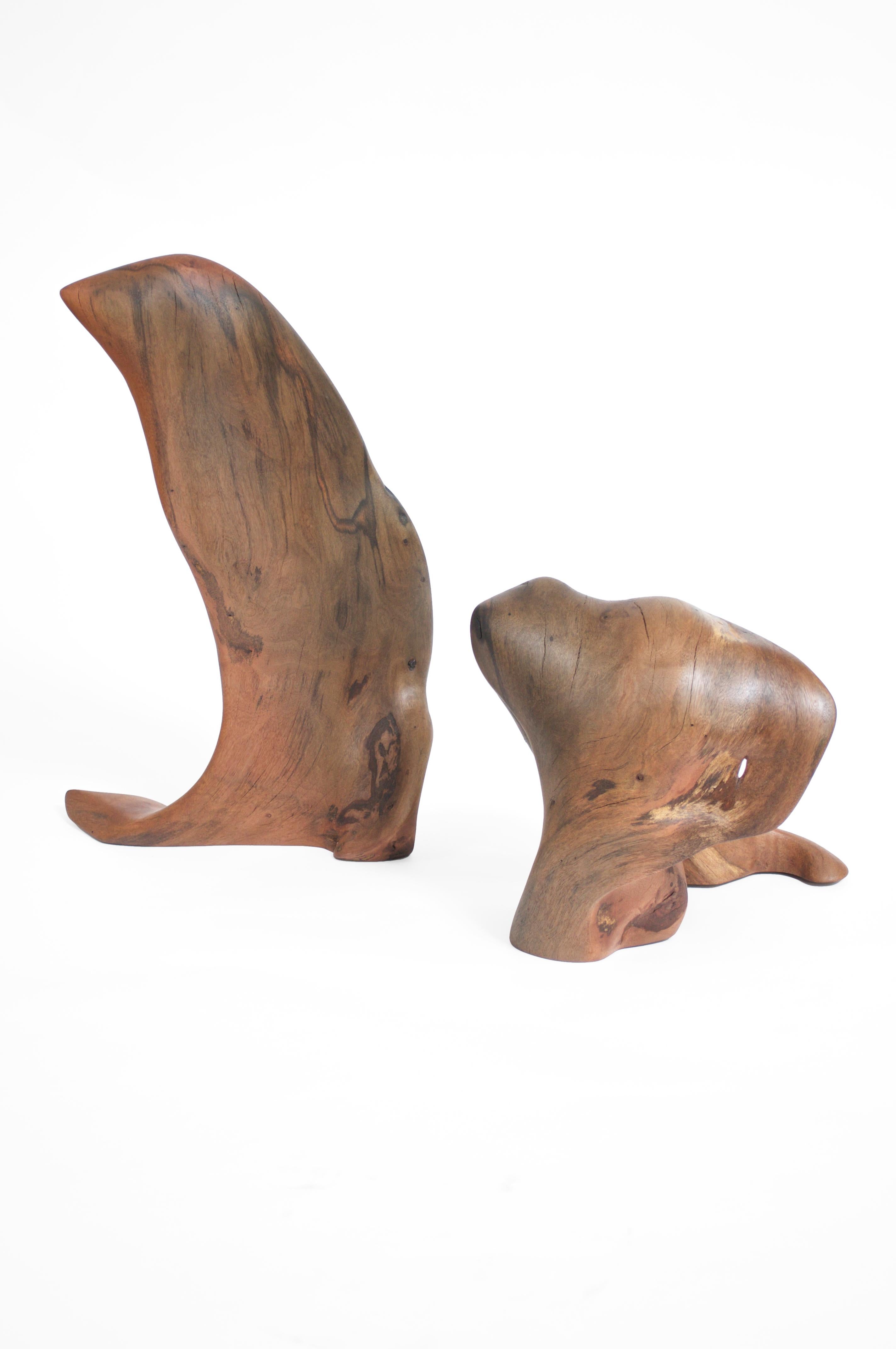 German Set Of 2 S1346 Decorative Objects in Tropical Driftwood by Jörg Pietschmann For Sale