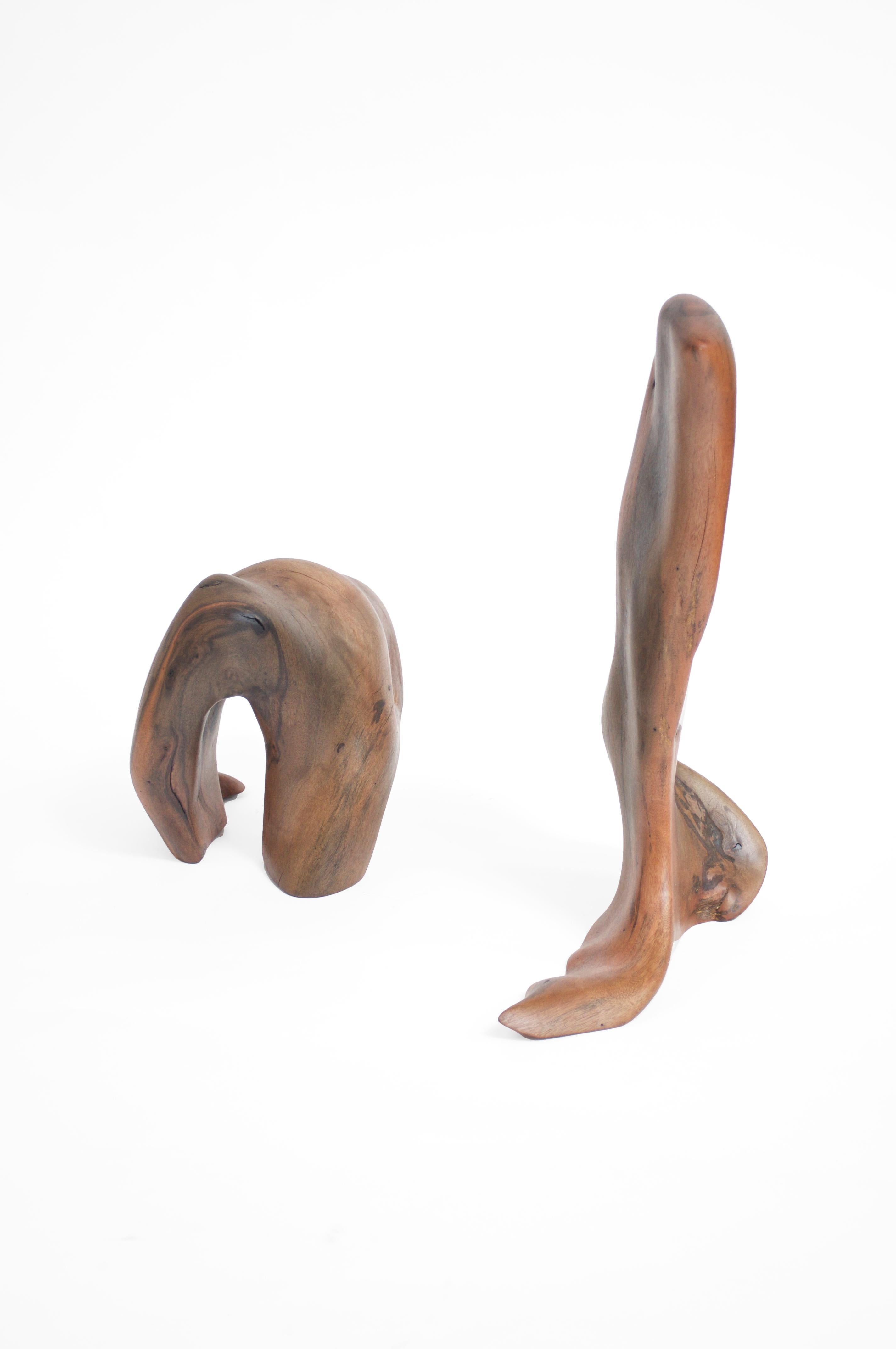 Other Set Of 2 S1346 Decorative Objects in Tropical Driftwood by Jörg Pietschmann For Sale