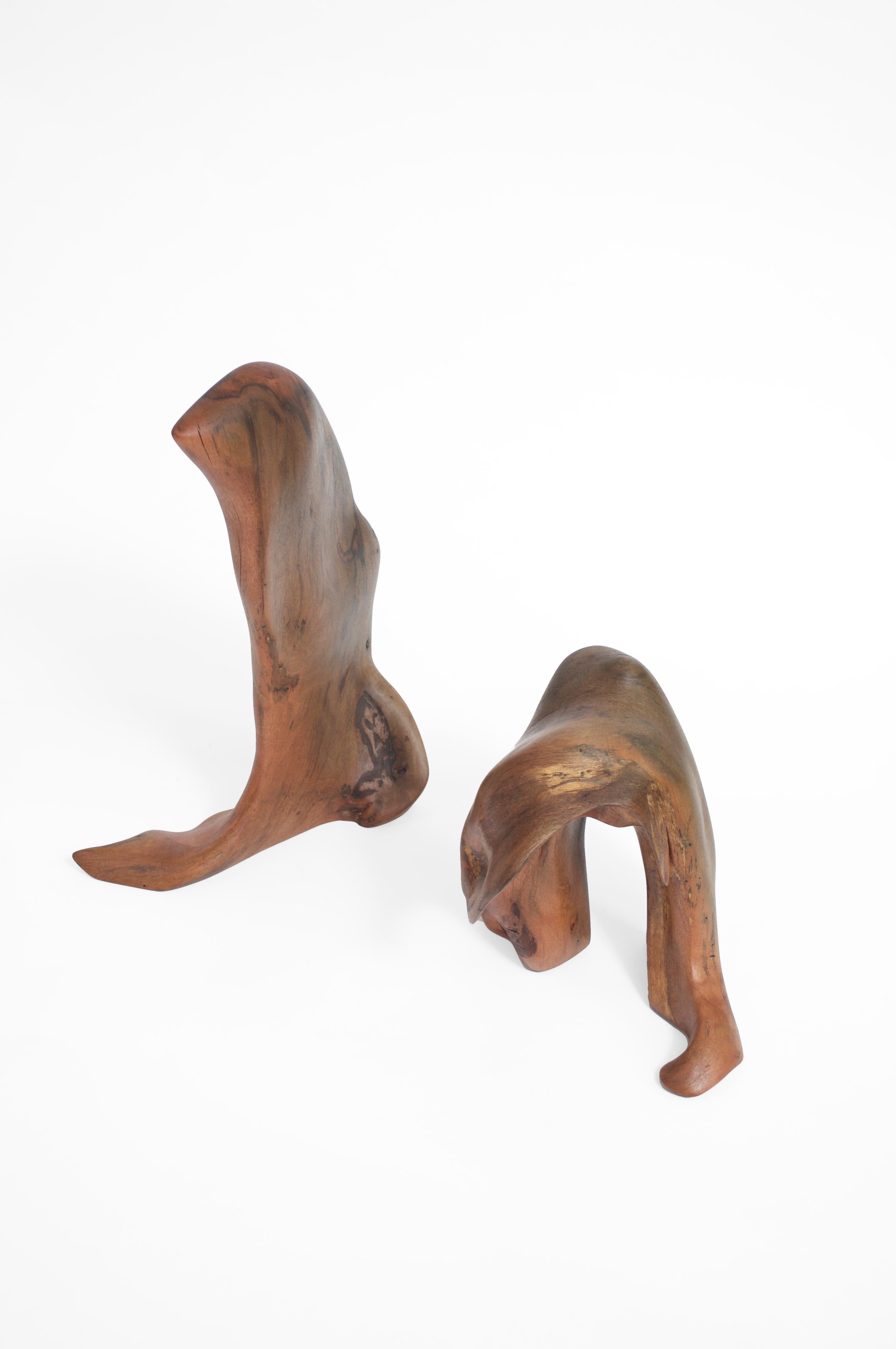 Set Of 2 S1346 Decorative Objects in Tropical Driftwood by Jörg Pietschmann In New Condition For Sale In Geneve, CH