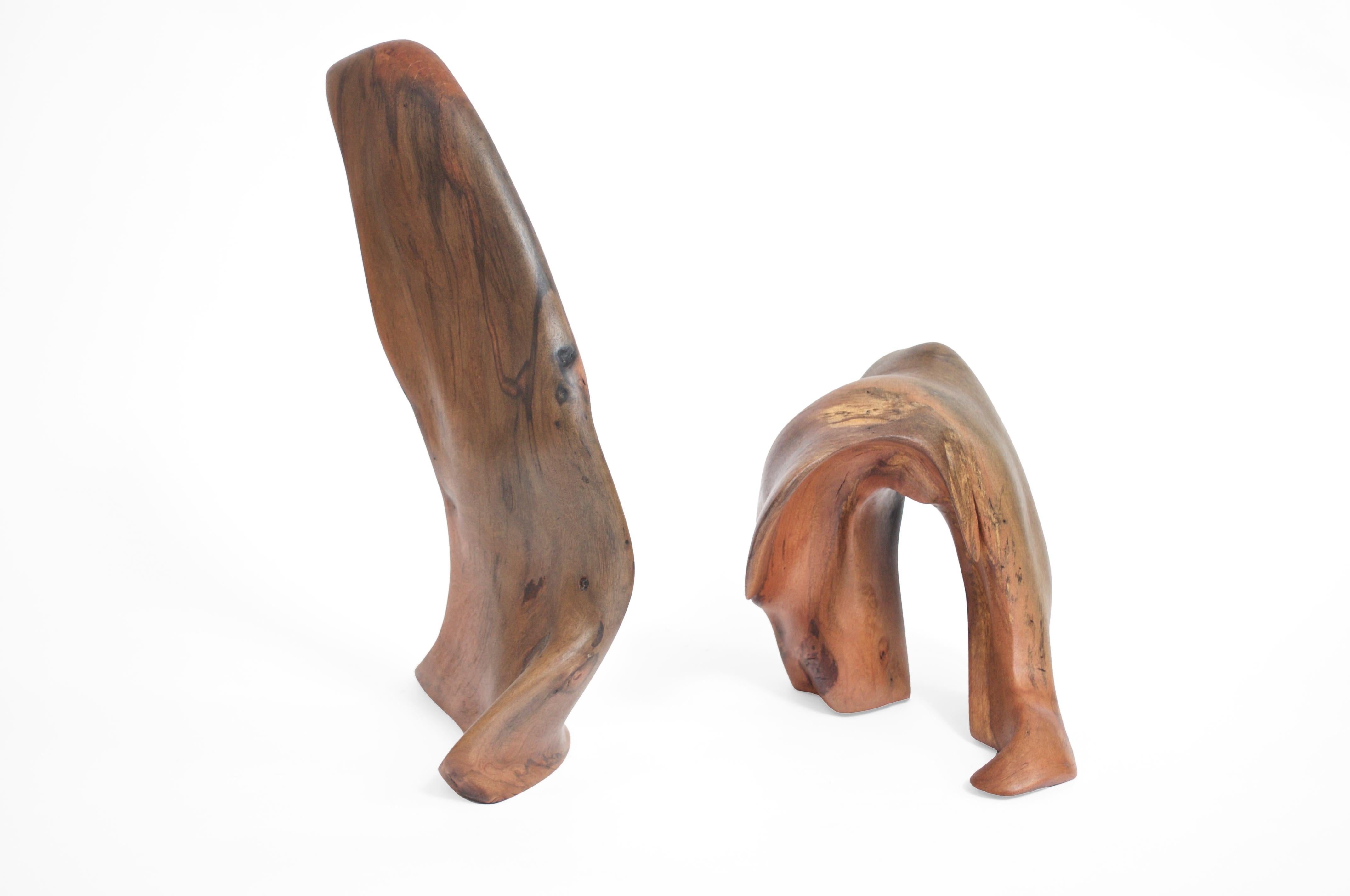 Contemporary Set Of 2 S1346 Decorative Objects in Tropical Driftwood by Jörg Pietschmann For Sale