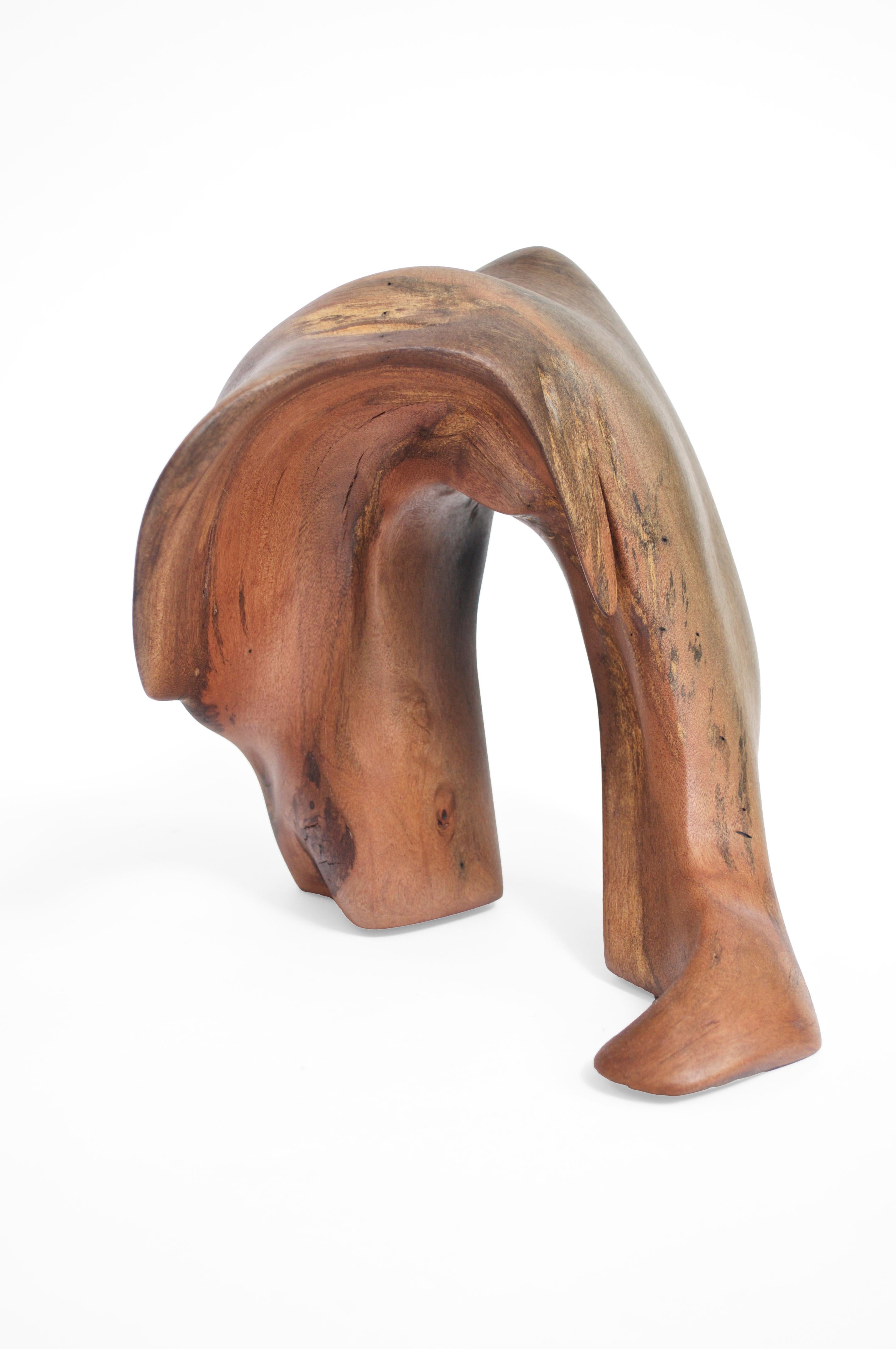 Maple Set Of 2 S1346 Decorative Objects in Tropical Driftwood by Jörg Pietschmann For Sale