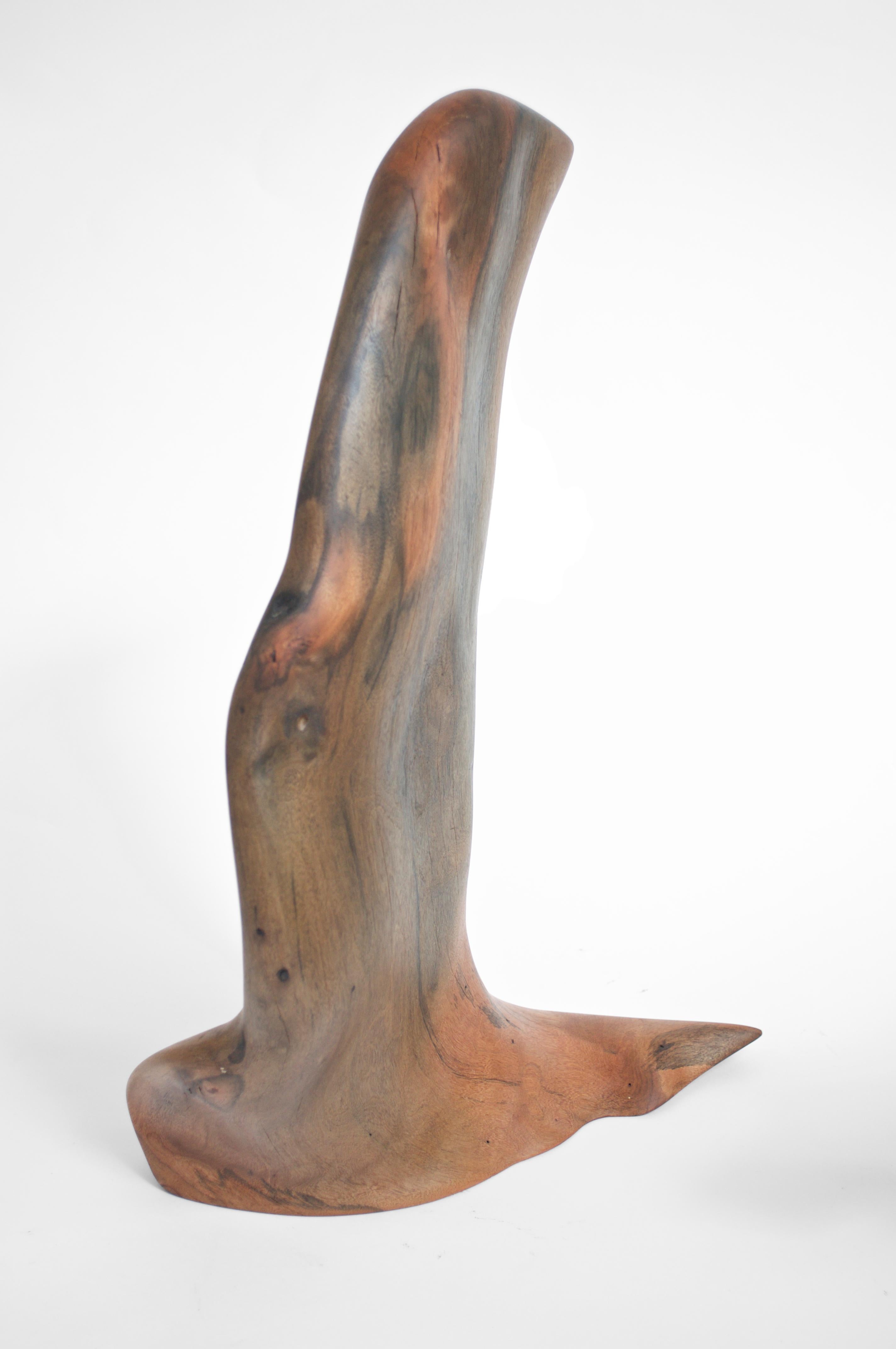Set Of 2 S1346 Decorative Objects in Tropical Driftwood by Jörg Pietschmann For Sale 1
