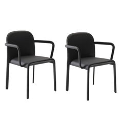 Set of 2 Scala Bridge Chairs by Patrick Jouin