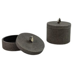 Set of 2 Shagreen Box with Nickel Brass Handle by Ginger Brown
