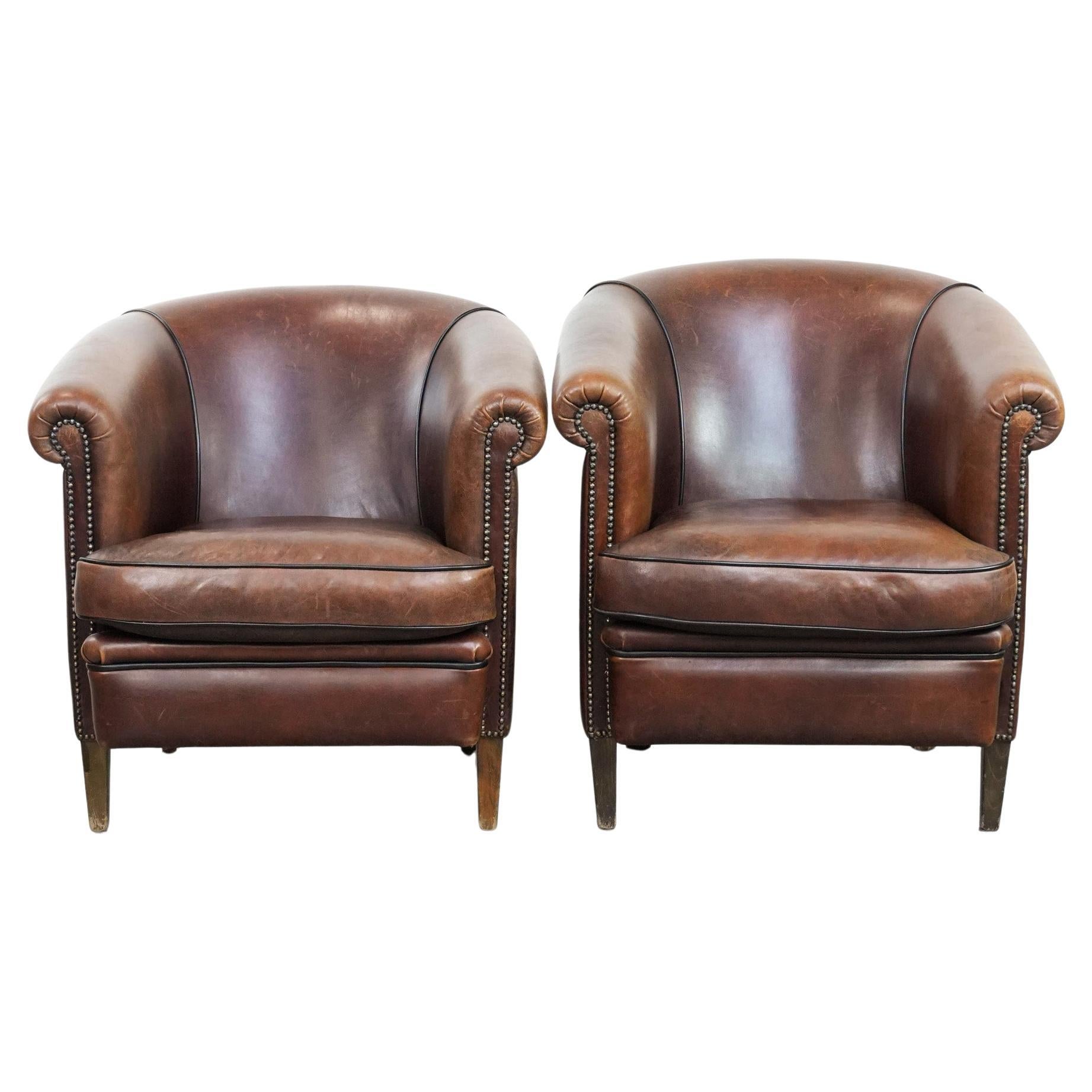 Set of 2 sheepskin club chairs with a luxurious English look