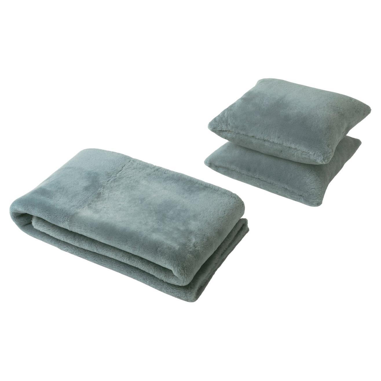 Set of 2 Sheepskin Cushions and Plaid For Sale