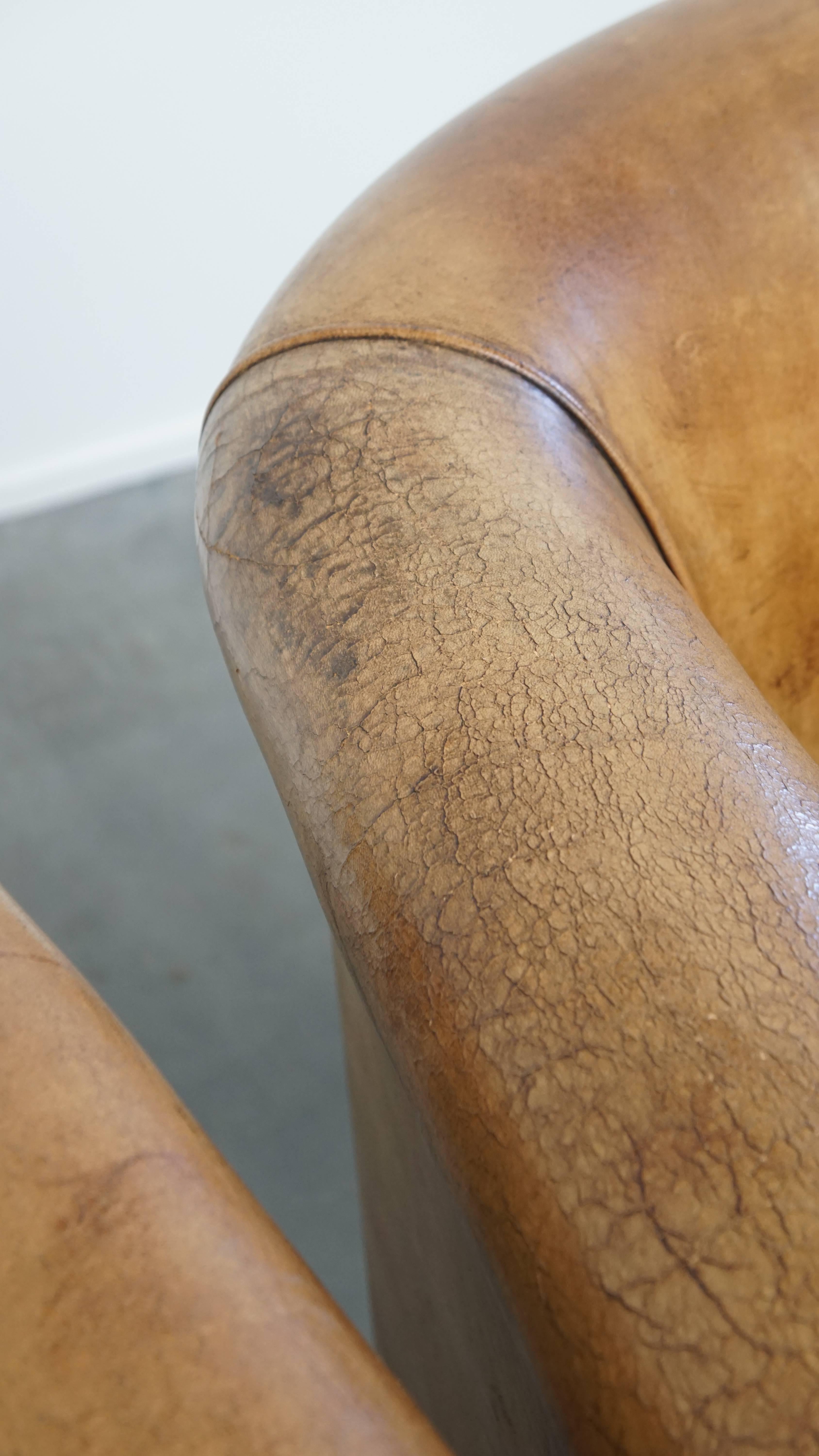 Set of 2 Sheepskin Leather Club Chairs by Nico van Oorschot For Sale 6