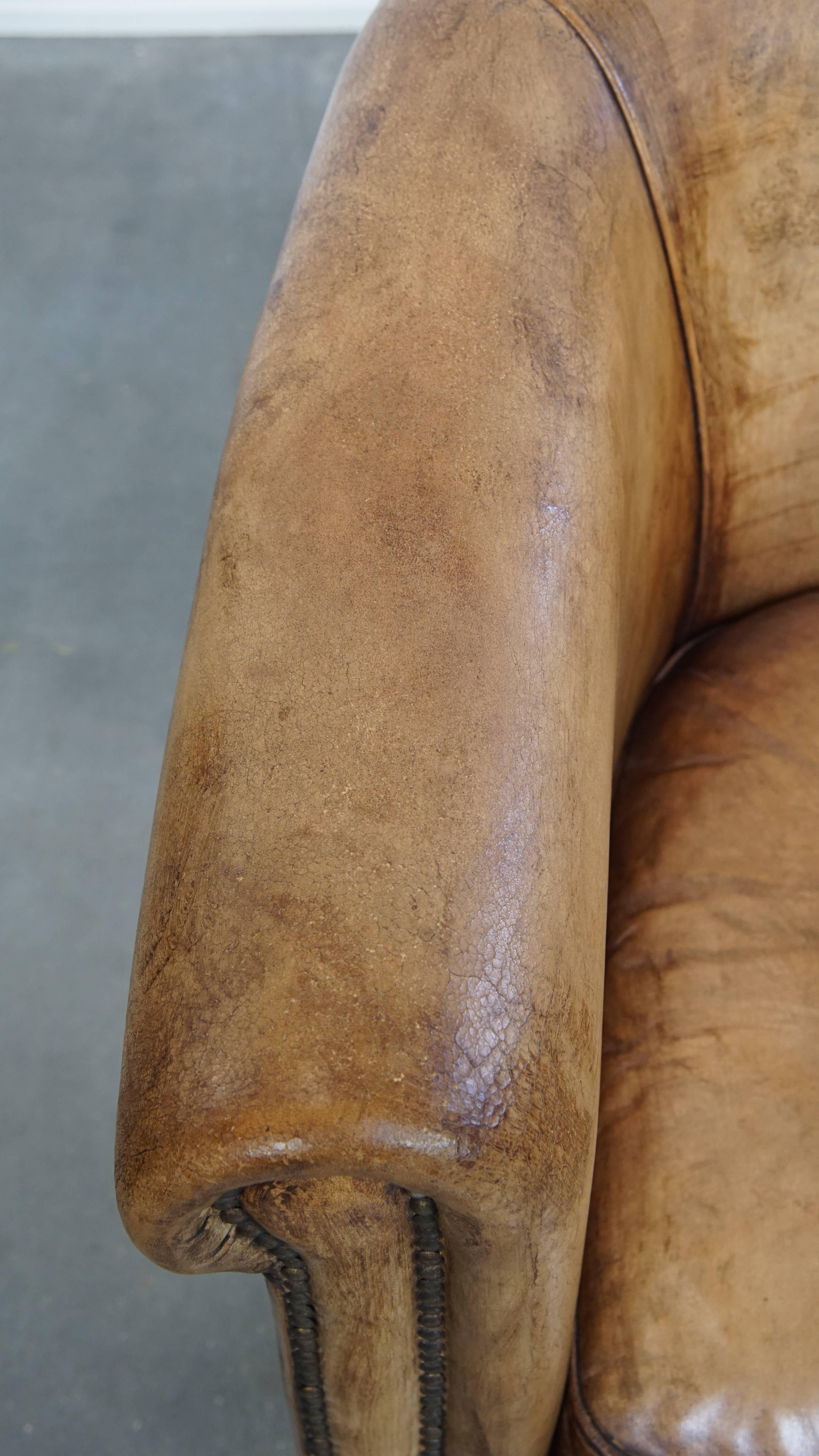 Set of 2 Sheepskin Leather Club Chairs by Nico van Oorschot For Sale 1