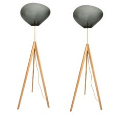 Set of 2 Stati x Silver Smoke Floor Lamps by Eloa