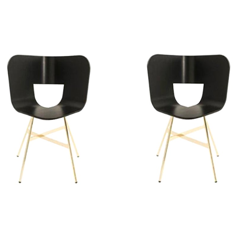 Juego de 2, Silla Tria Oro 4 Patas, Asiento Color RAL by Colé Italia