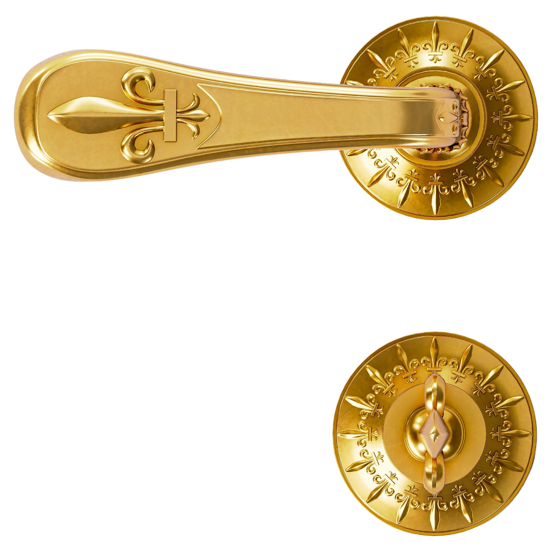 Set Of 2 Versailles Doré Brass Door Handles With Condamnation by Jérôme Bugara For Sale