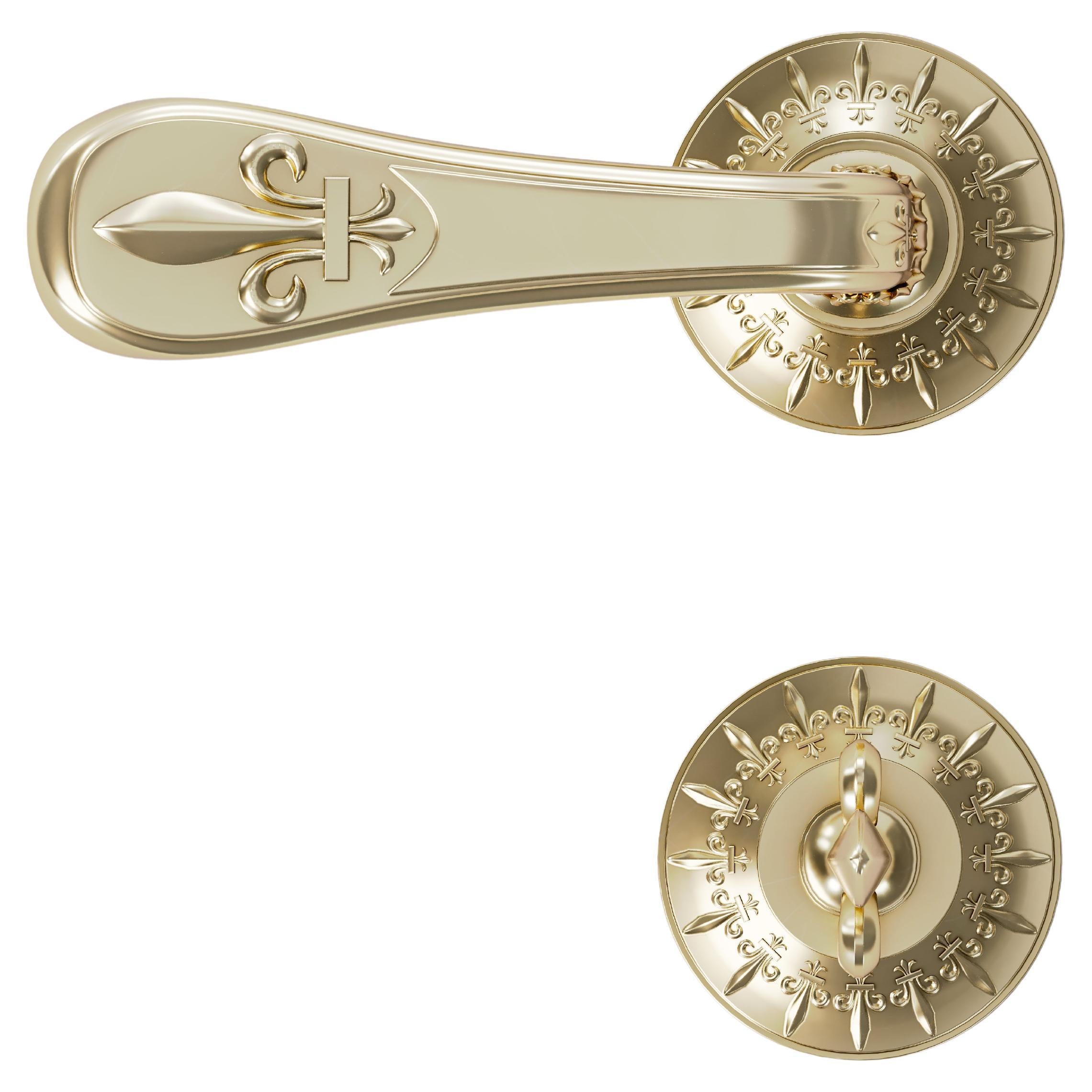 Set Of 2 Versailles Nickel Door Handles With Condamnation by Jérôme Bugara For Sale
