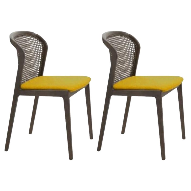 Ensemble de 2, chaise Vienne, Canaletto, Ocre par Colé Italia en vente