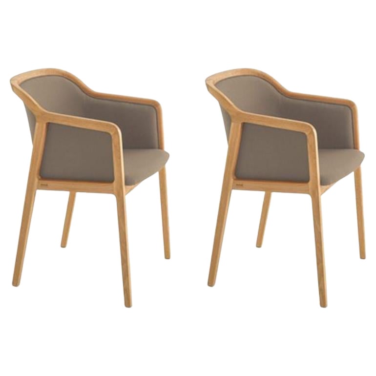Juego de 2 sillones Vienna Soft Little, cromados by Colé Italia