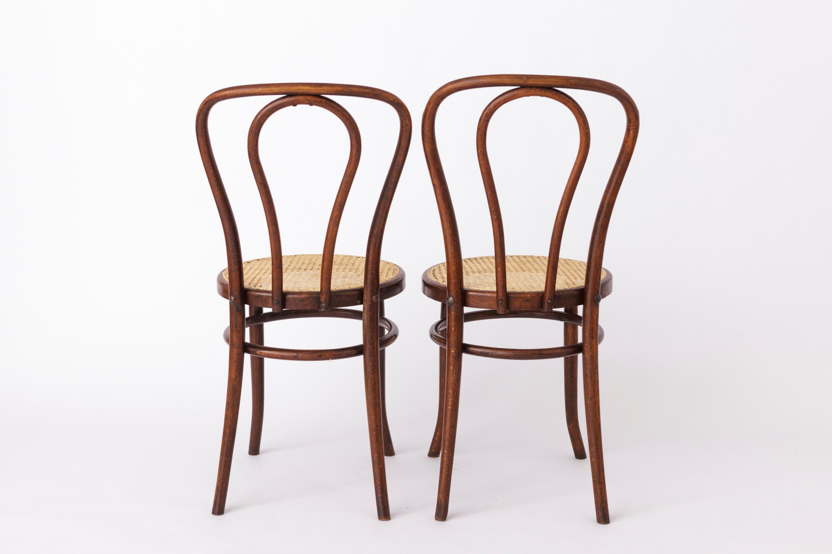 2 Stühle aus Bugholz - 1950er-1960er Jahre, Buchenholz, Neue Wiener Weberei (Mitte des 20. Jahrhunderts) im Angebot