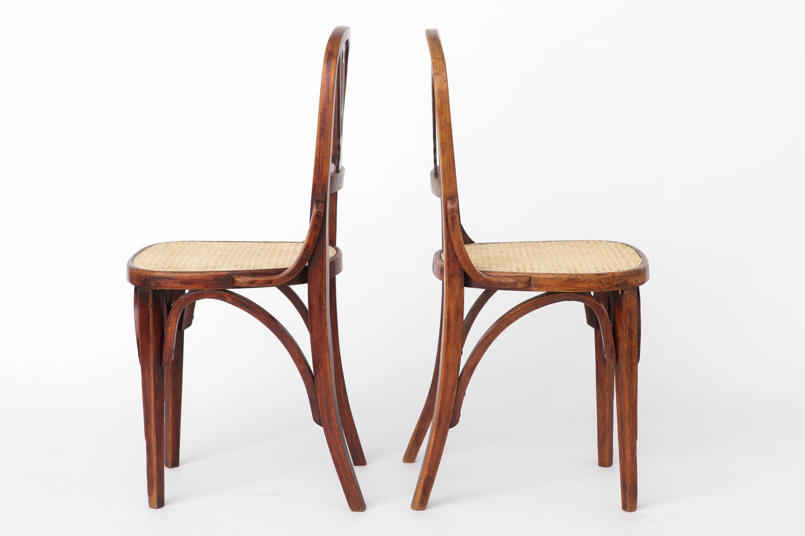 Set of 2 Vintage Bentwood Dining Chairs  Austria 1930s–50s  Beechwood Bon état - En vente à Hannover, DE