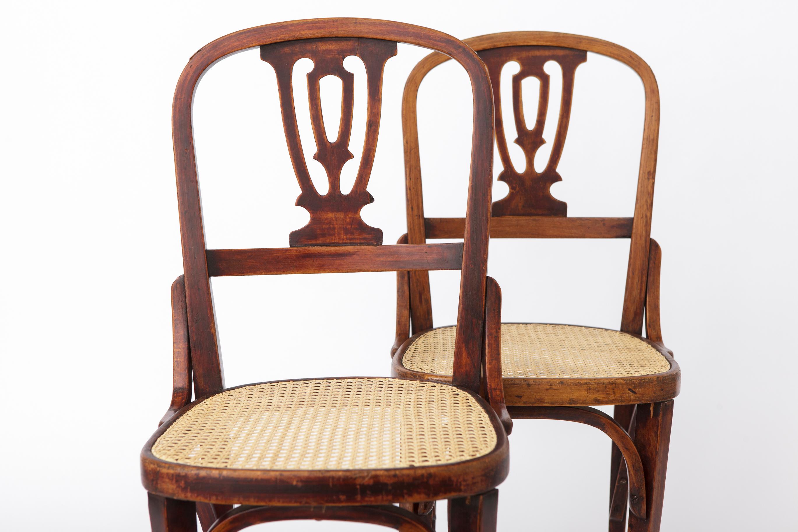 Set of 2 Vintage Bentwood Dining Chairs  Austria 1930s–50s  Beechwood en vente 1