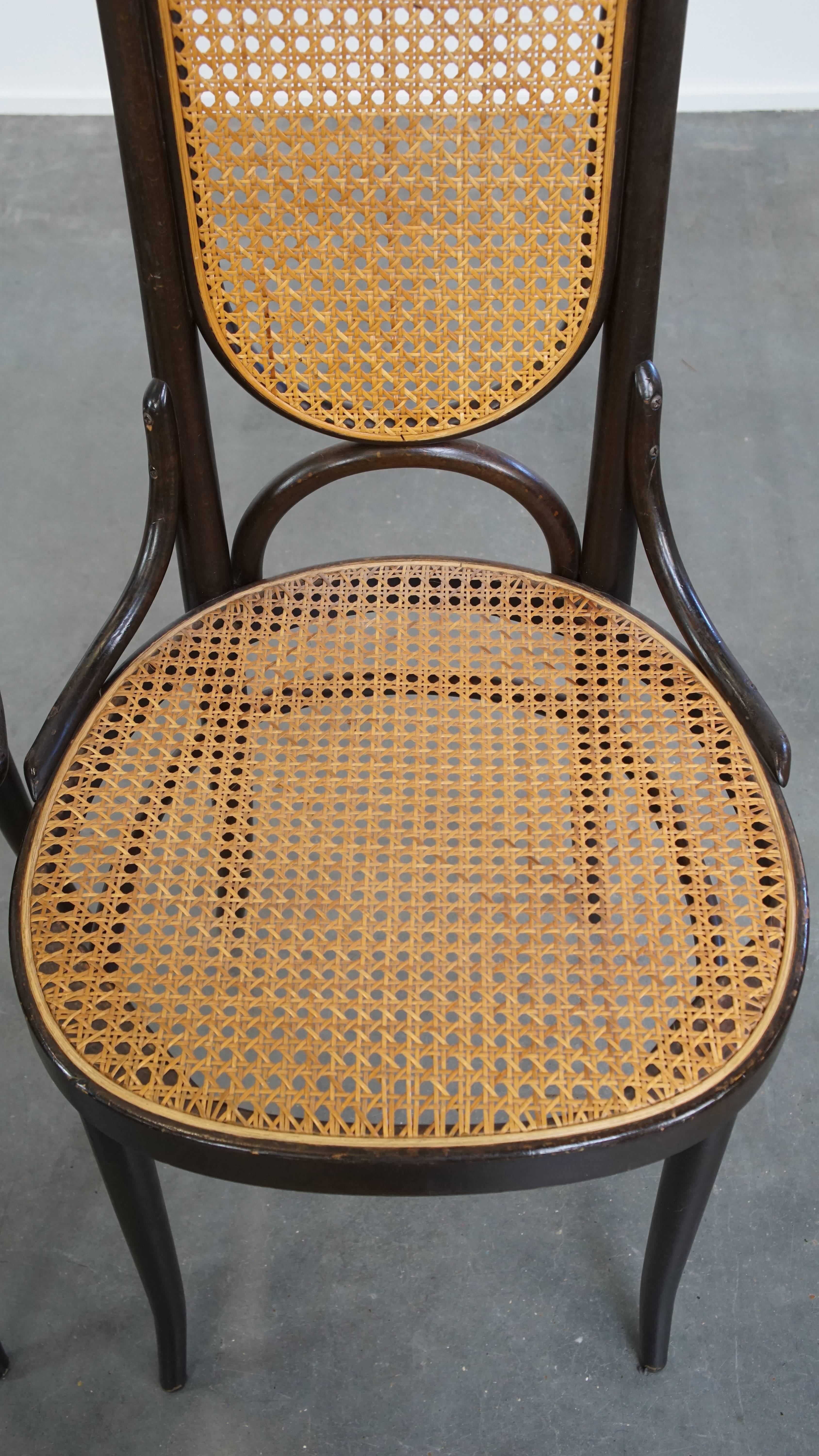 20th Century Set of 2 Vintage Bentwood 
