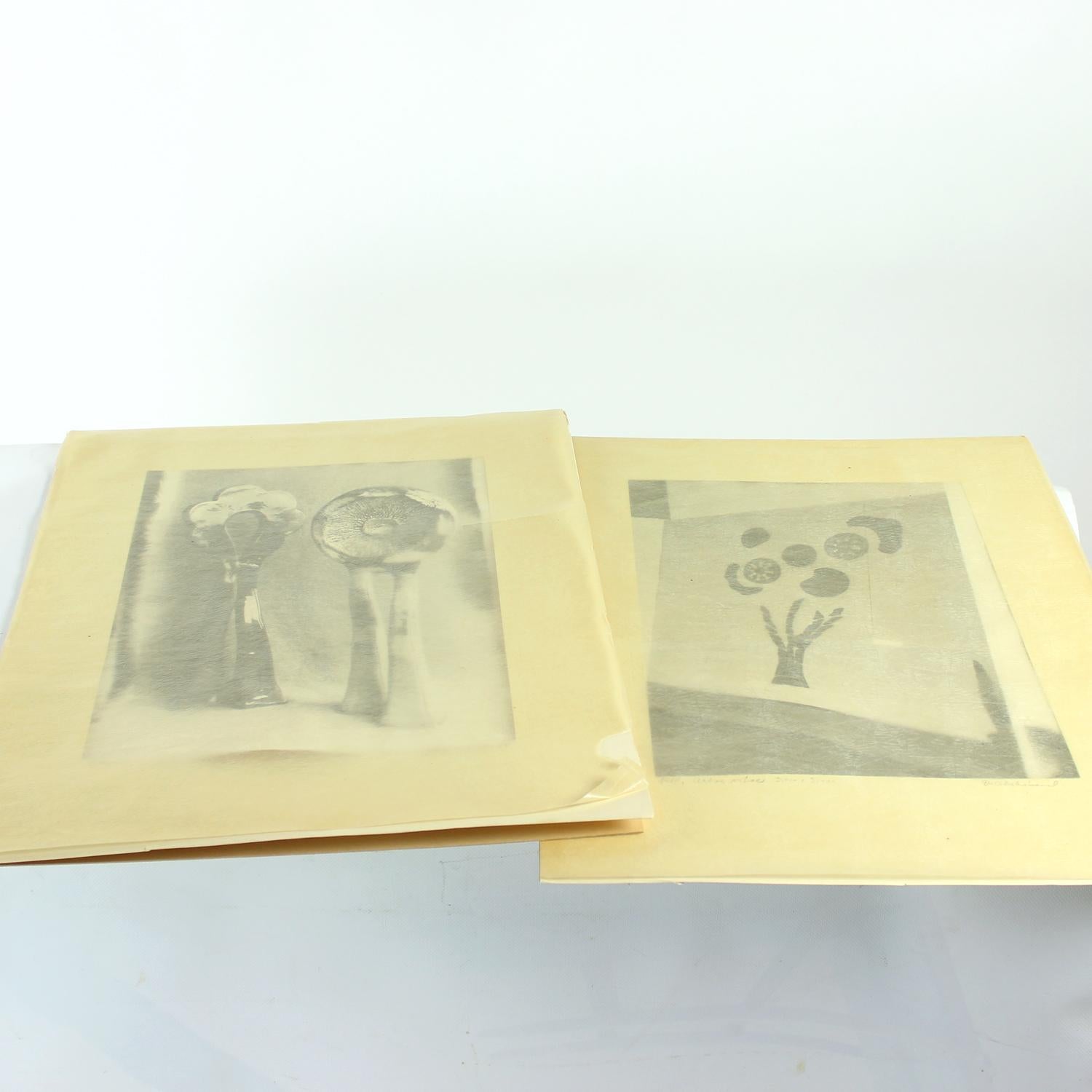 2er-Set Vintage-Fotograps von Keramik-Kunstwerken von Ditta Abrhamova, Tschechoslowakei im Angebot 4