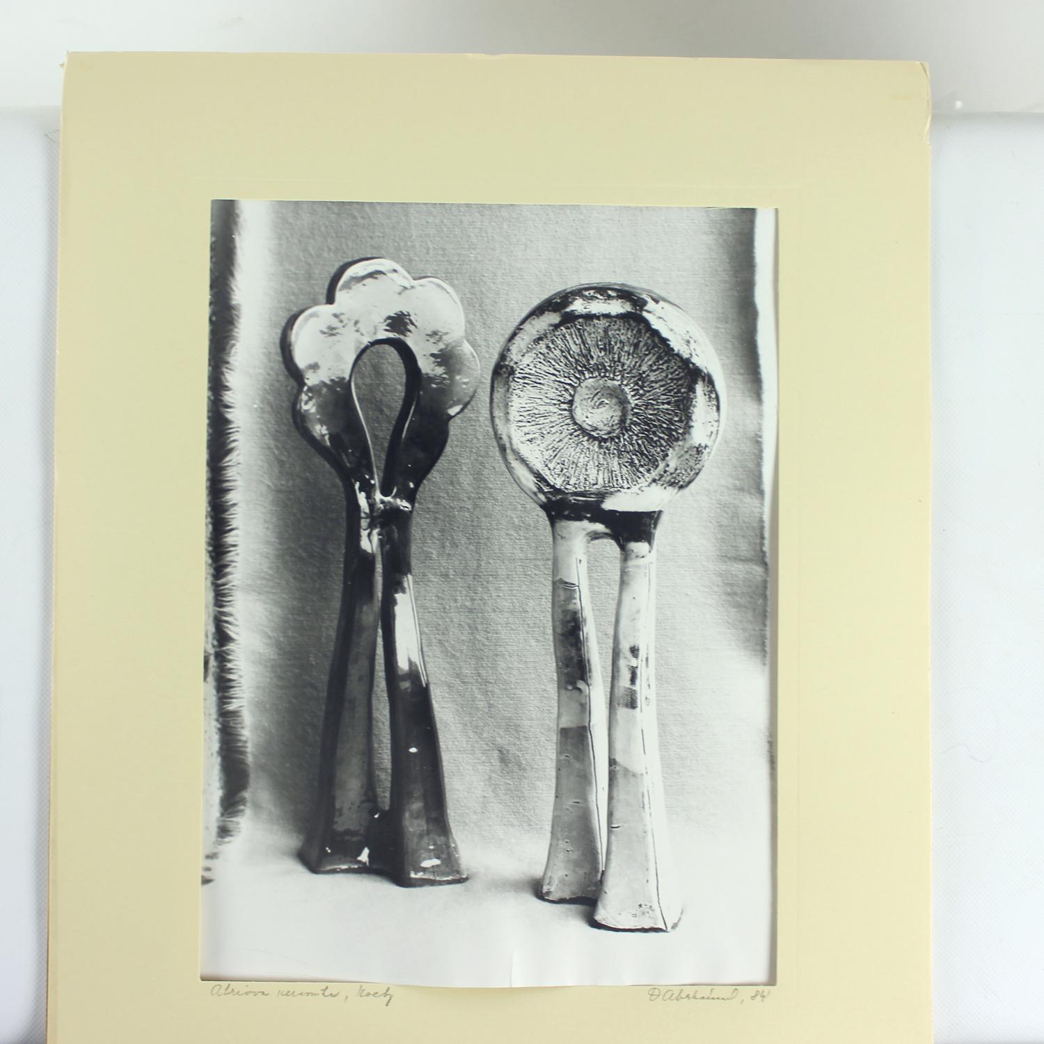 2er-Set Vintage-Fotograps von Keramik-Kunstwerken von Ditta Abrhamova, Tschechoslowakei im Zustand „Hervorragend“ im Angebot in Zohor, SK