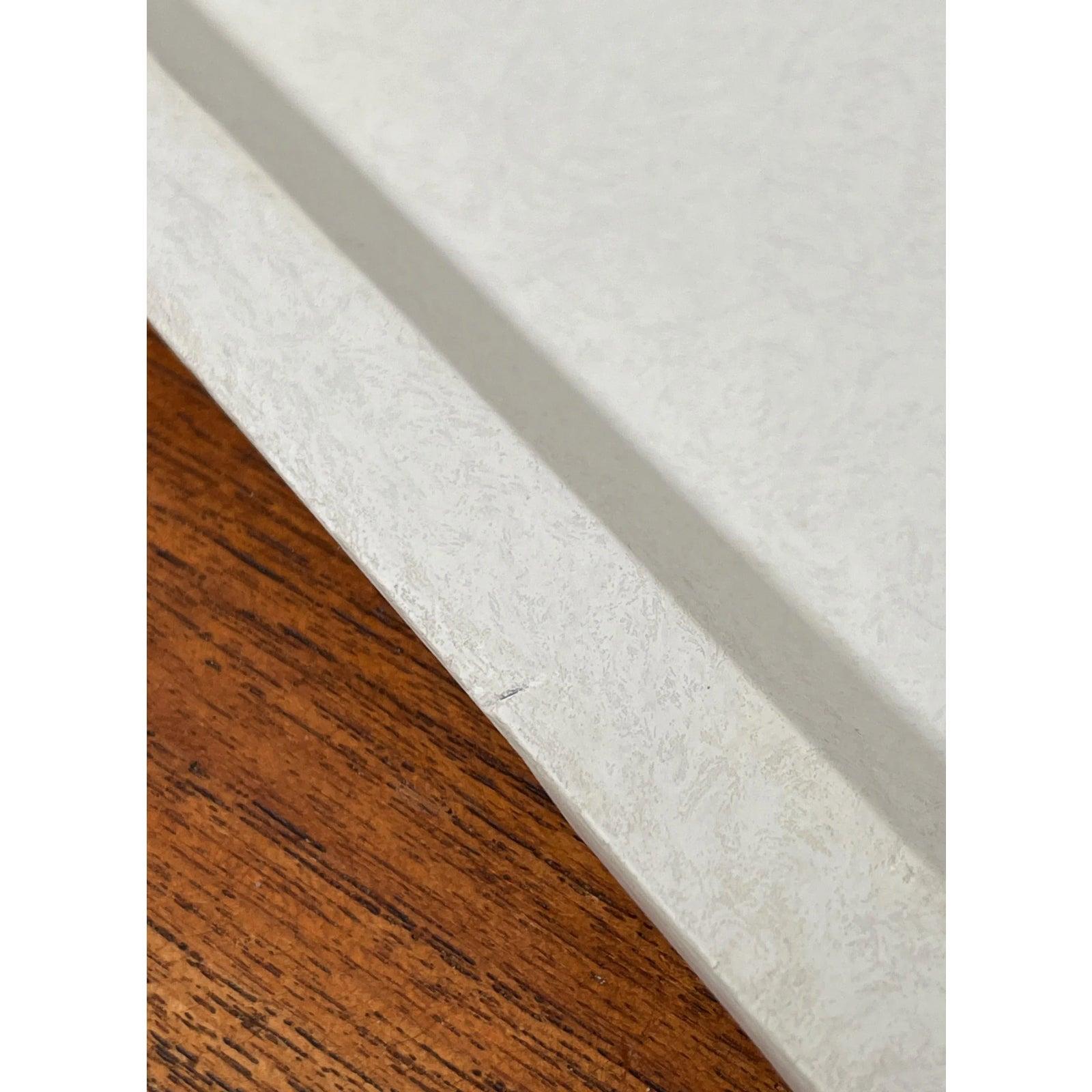 2er-Set westdeutscher Fiberglas-Kunststofftabletts von Presswerk Köngen im Angebot 6