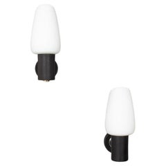 Set of 2 wall lamps in black, brass and opaline edition Arlus 1950