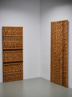 Set of 2 Wall Panels by Stefano d"Amico in Ash and Brass, Italy, 1970's