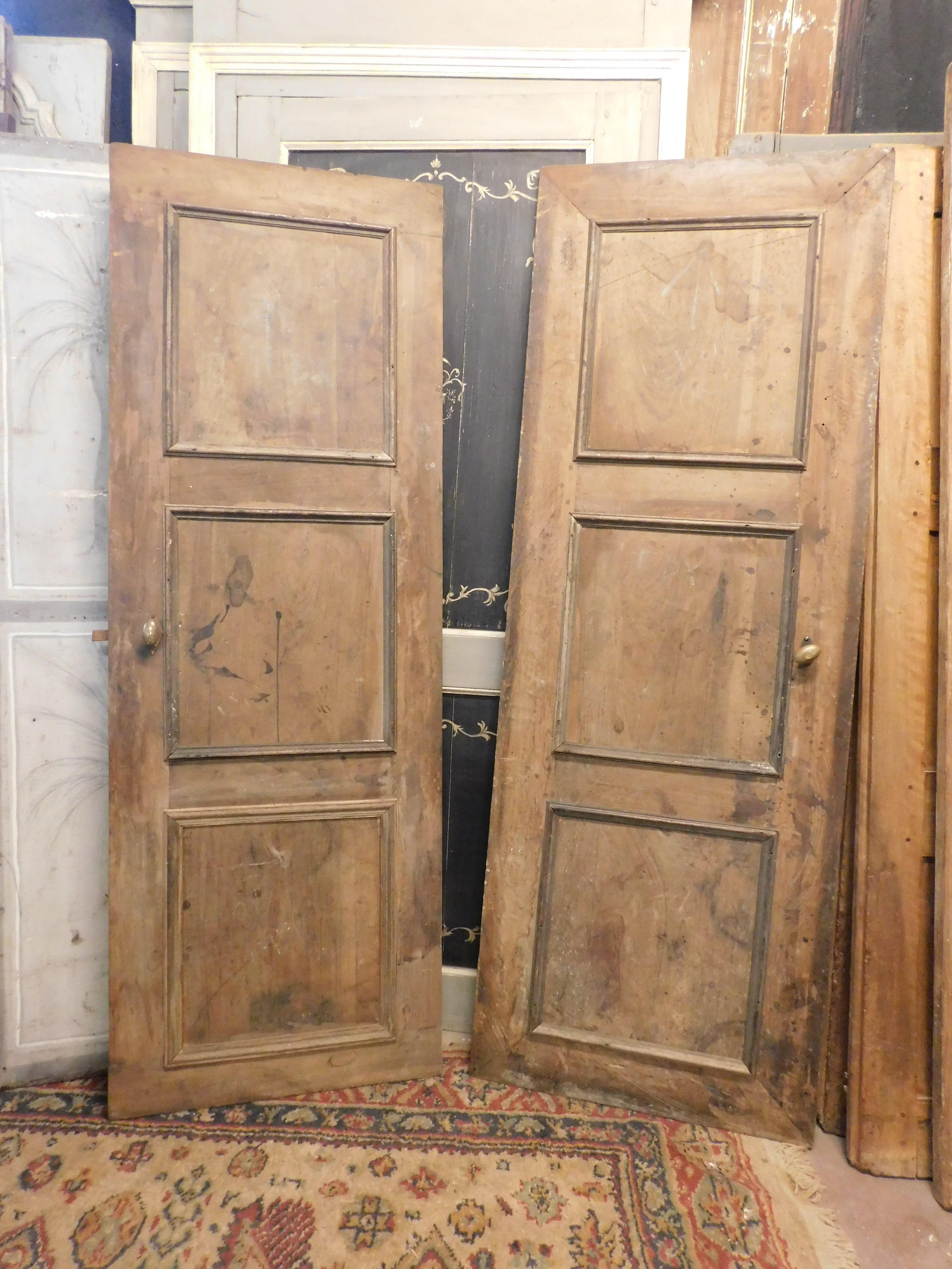 Italian Set of 2 Walnut Wood Paneled Doors, 18th Century Italy For Sale