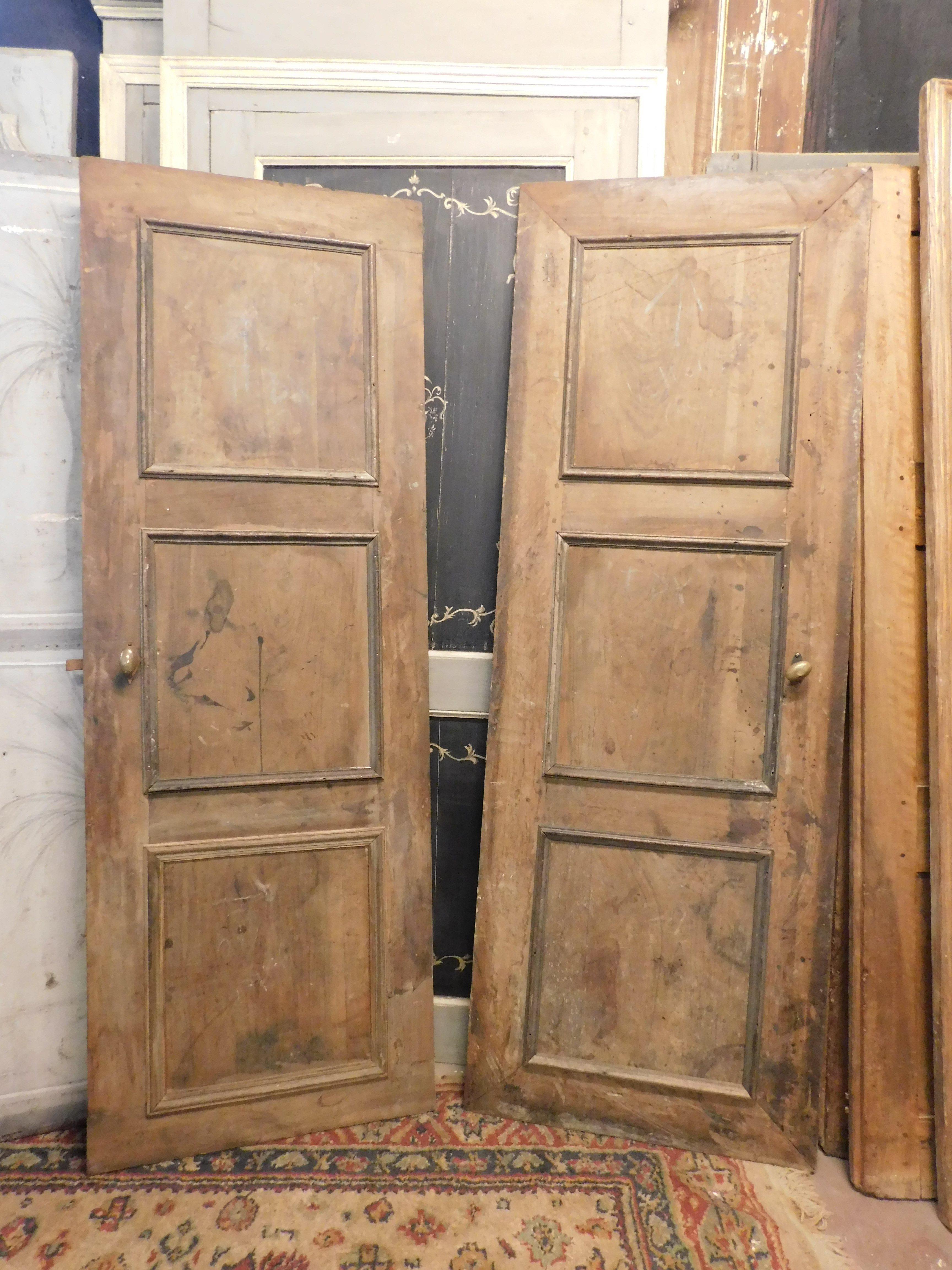 Set of 2 Walnut Wood Paneled Doors, 18th Century Italy In Good Condition For Sale In Cuneo, Italy (CN)