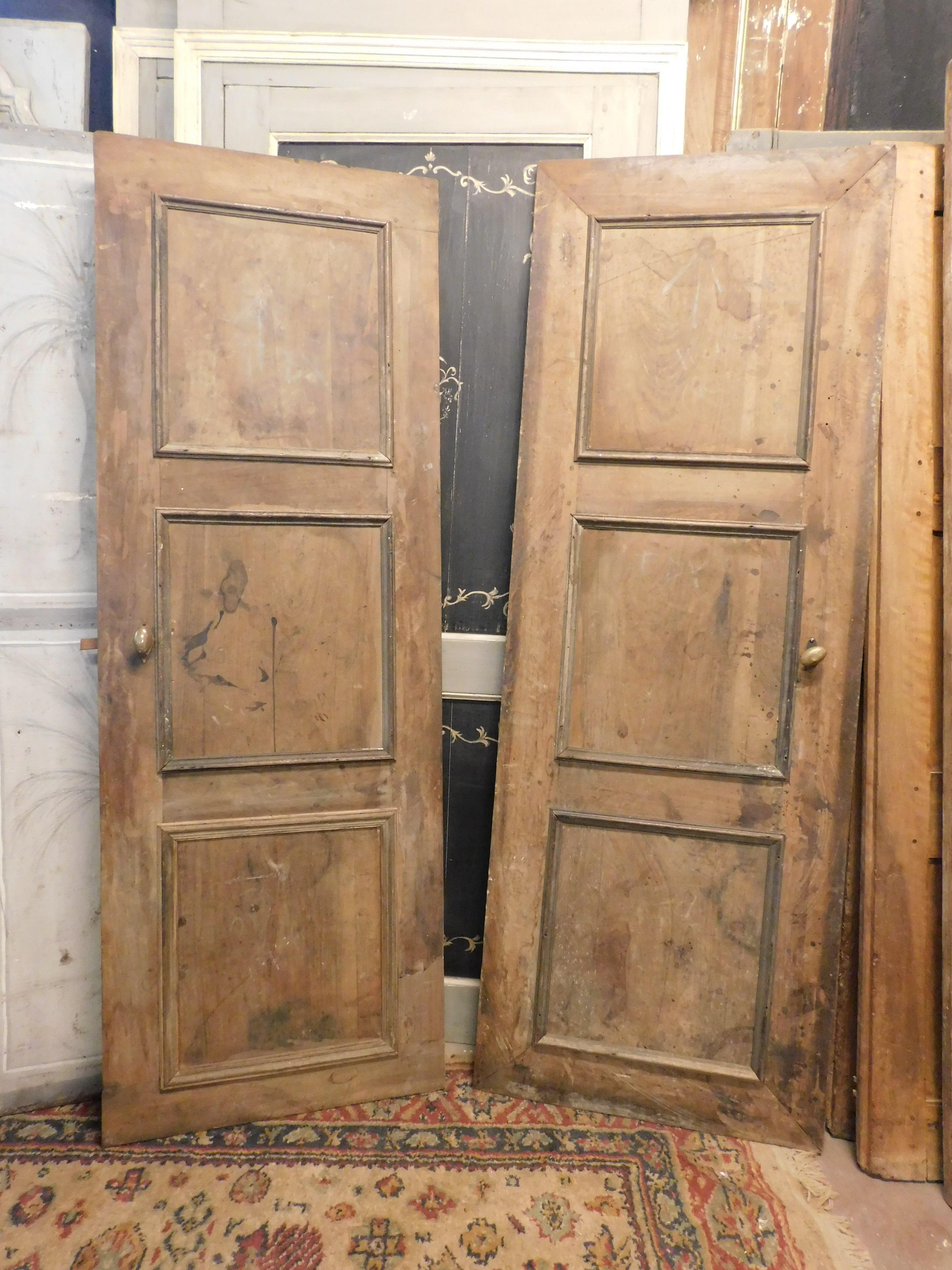 18th Century and Earlier Set of 2 Walnut Wood Paneled Doors, 18th Century Italy For Sale