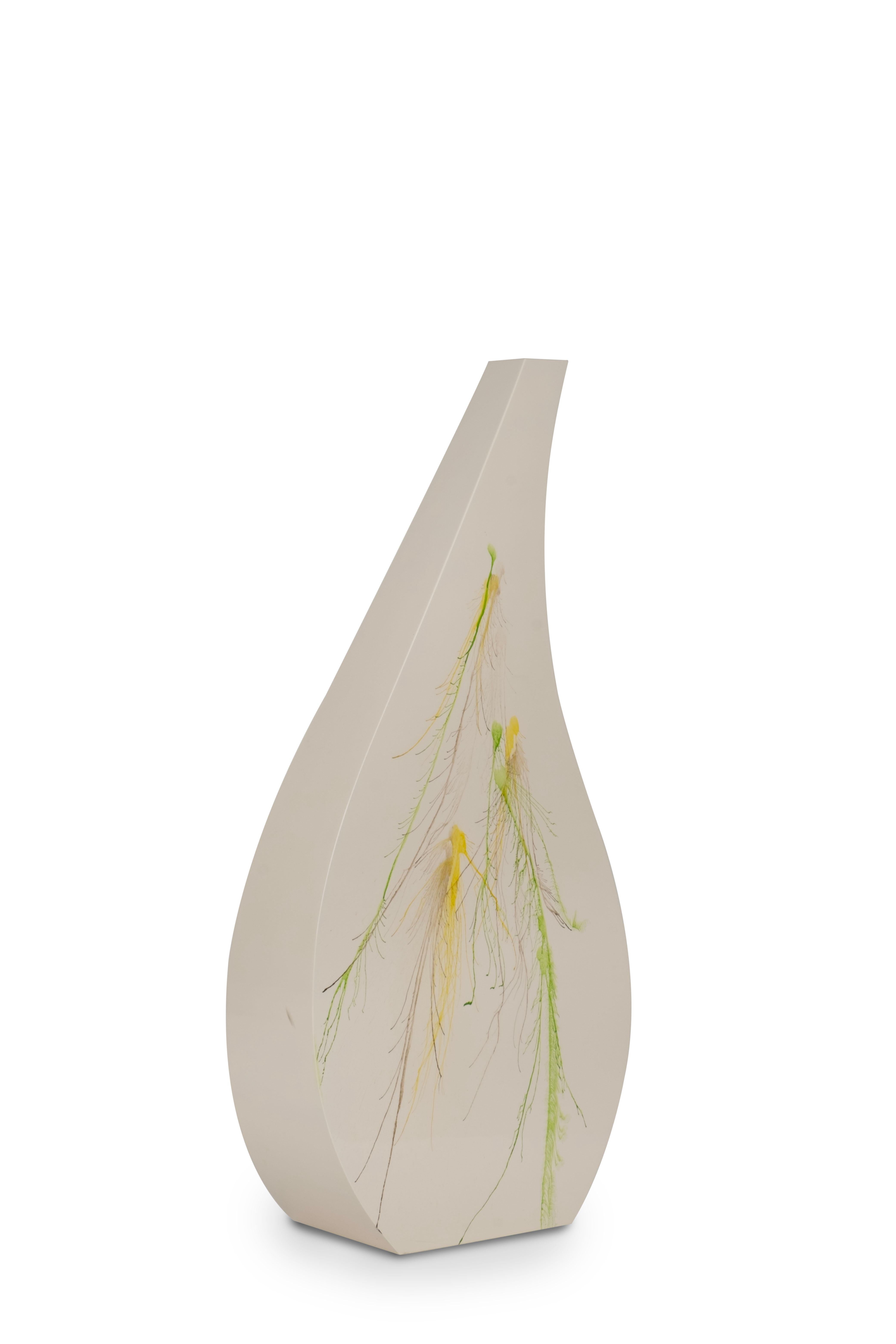 Portoghese Set di 2 vasi decorativi in legno Crema fatti a mano in Portogallo da Lusitanus Home in vendita