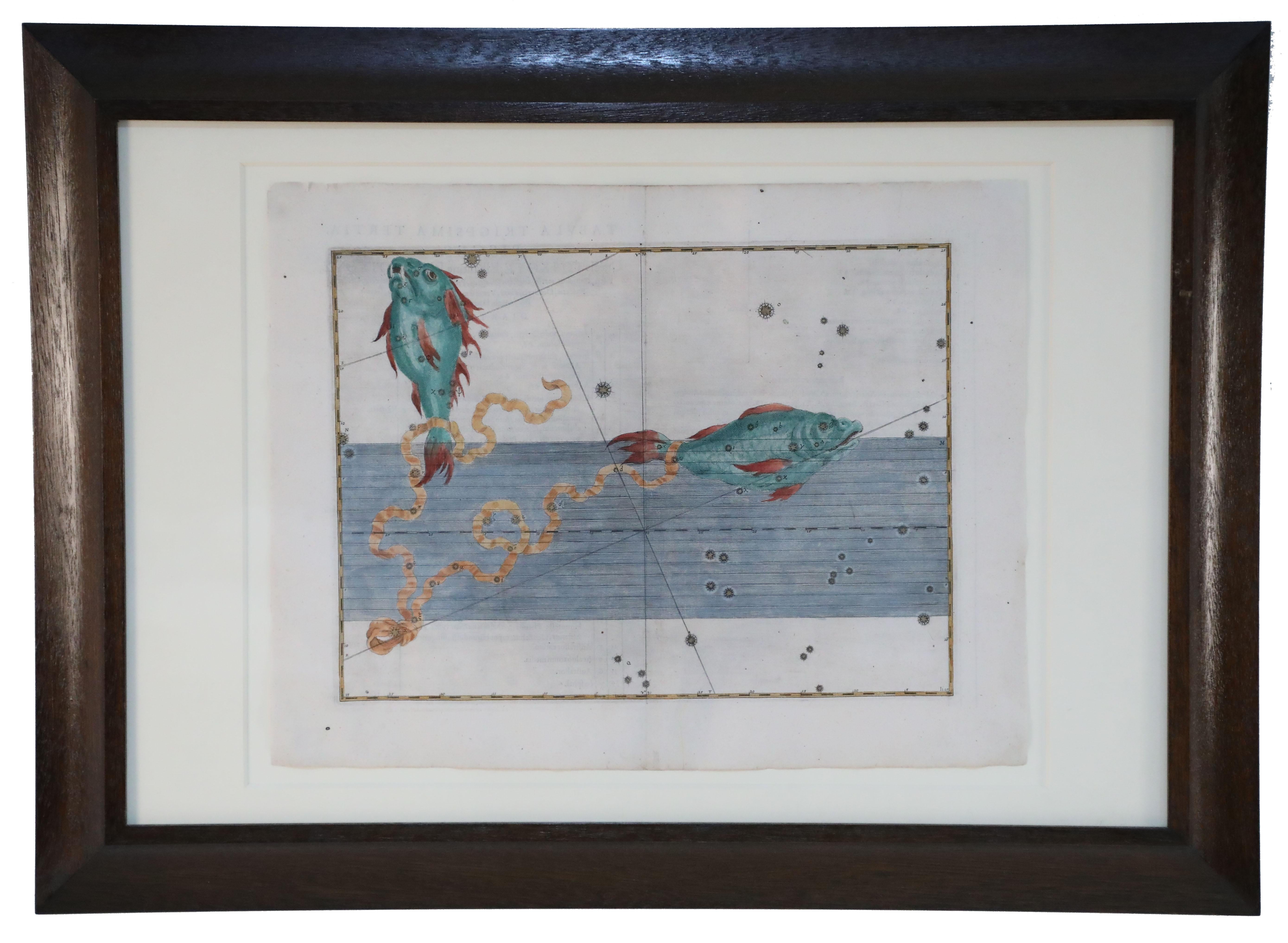 Engraved Set of 20 Renaissance Hand-Colored Engravings of Astronomy Star Charts For Sale