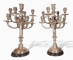 Pair of 20th C. French Neoclassical 9-Light Bronze Candelabra with Marble Base