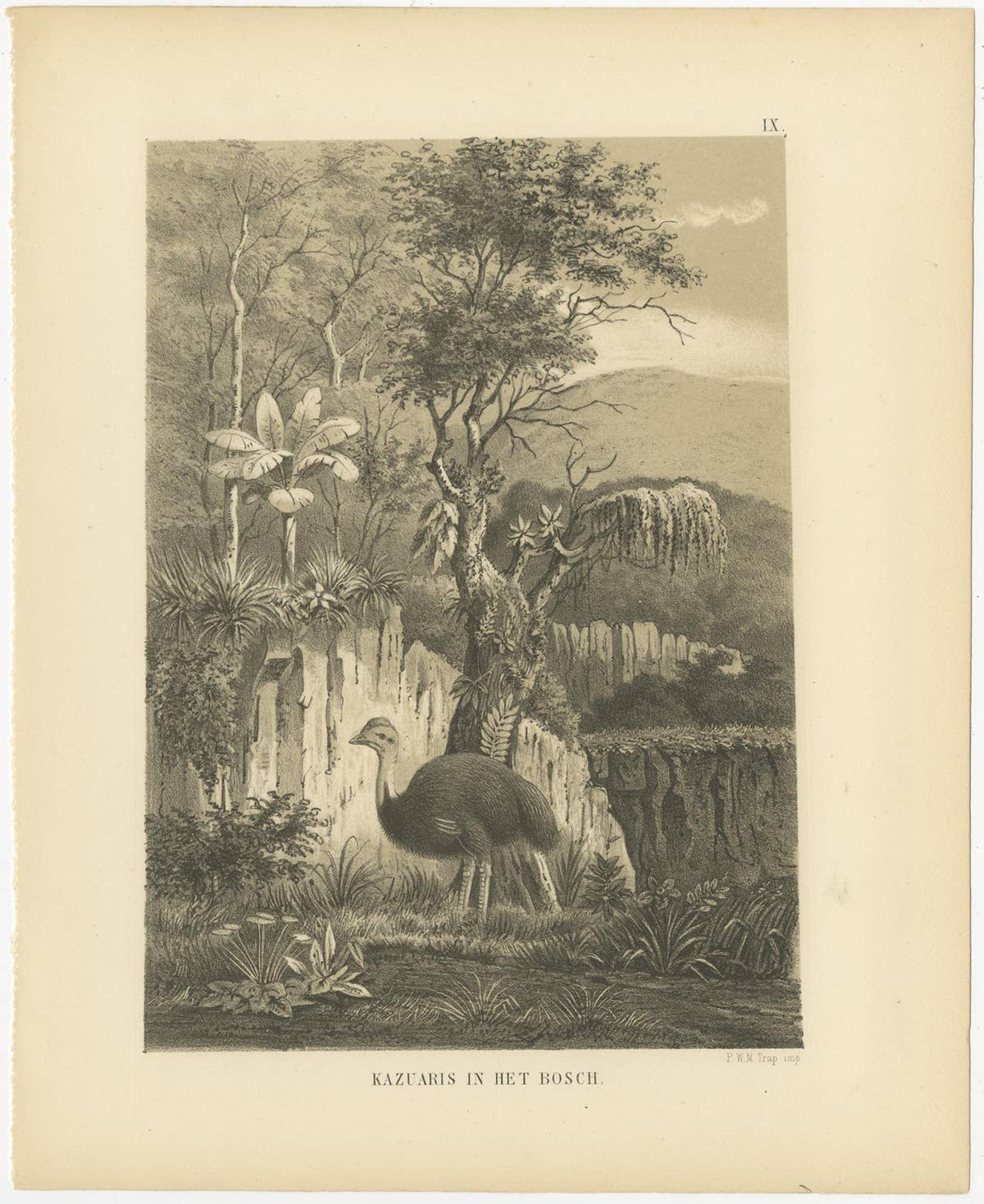 Set of 21 Antique Prints Illustrating the Travels to Cenderawasih Bay, 1875