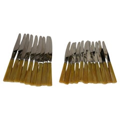 Set of 21 bakelite and stainless steel knives, France, 1970