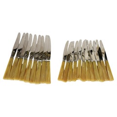 Set of 21 bakelite and stainless steel knives, France, 1970