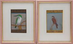 Set of 21 Framed Vintage Persian Painted Birds on Paper