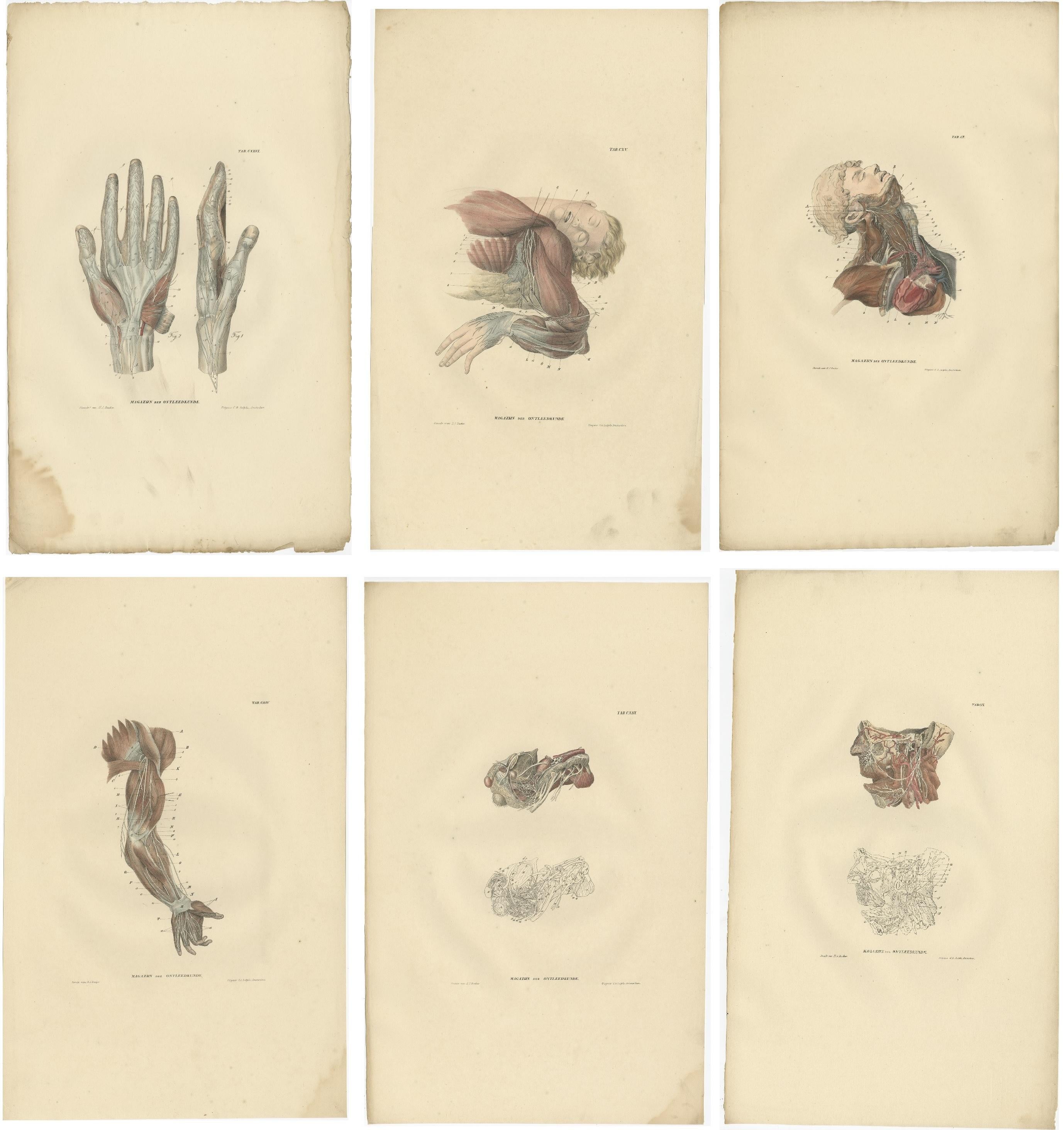 Set of 23 Antique Anatomy Prints of the Nervous System '1839' In Good Condition For Sale In Langweer, NL