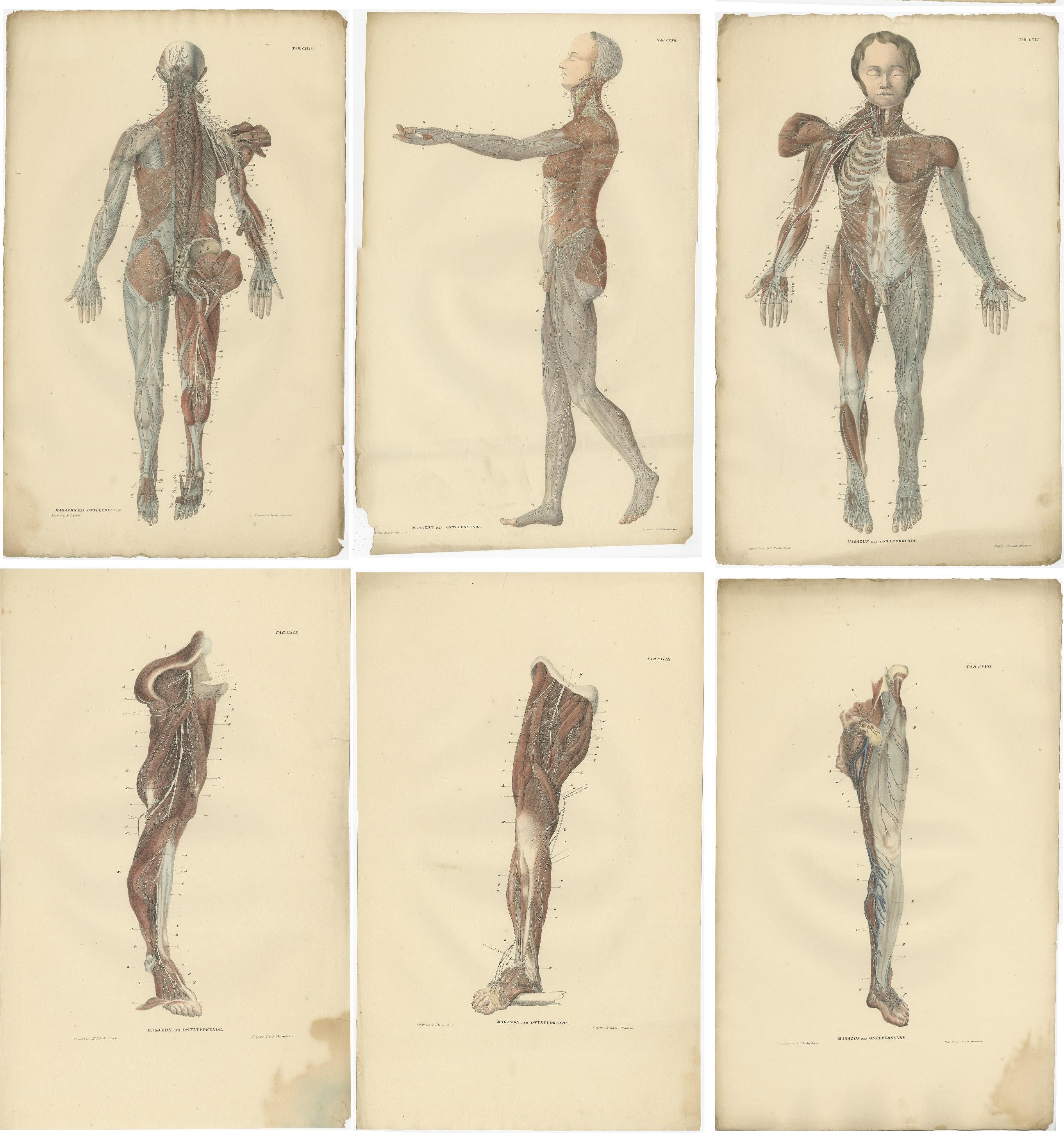 19th Century Set of 23 Antique Anatomy Prints of the Nervous System '1839' For Sale