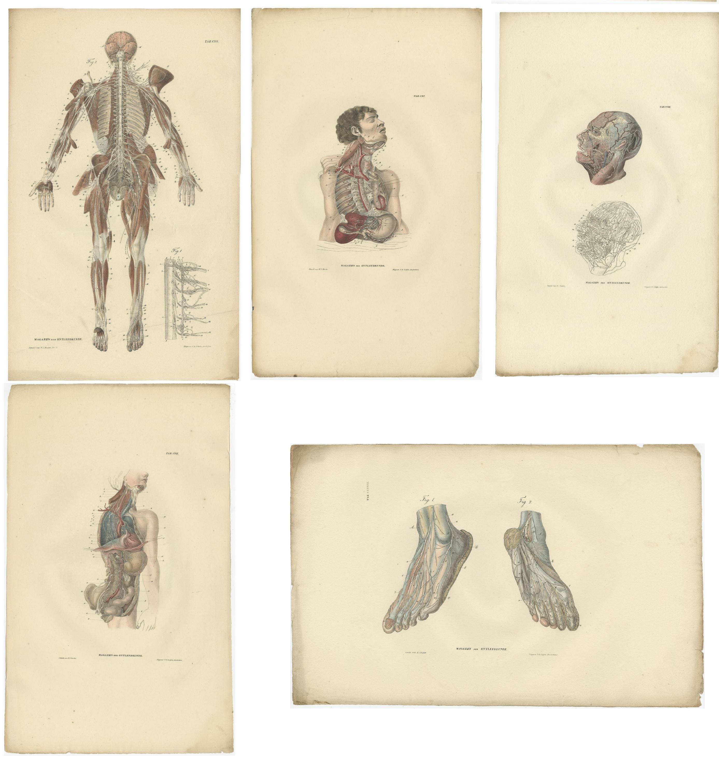 Paper Set of 23 Antique Anatomy Prints of the Nervous System '1839' For Sale