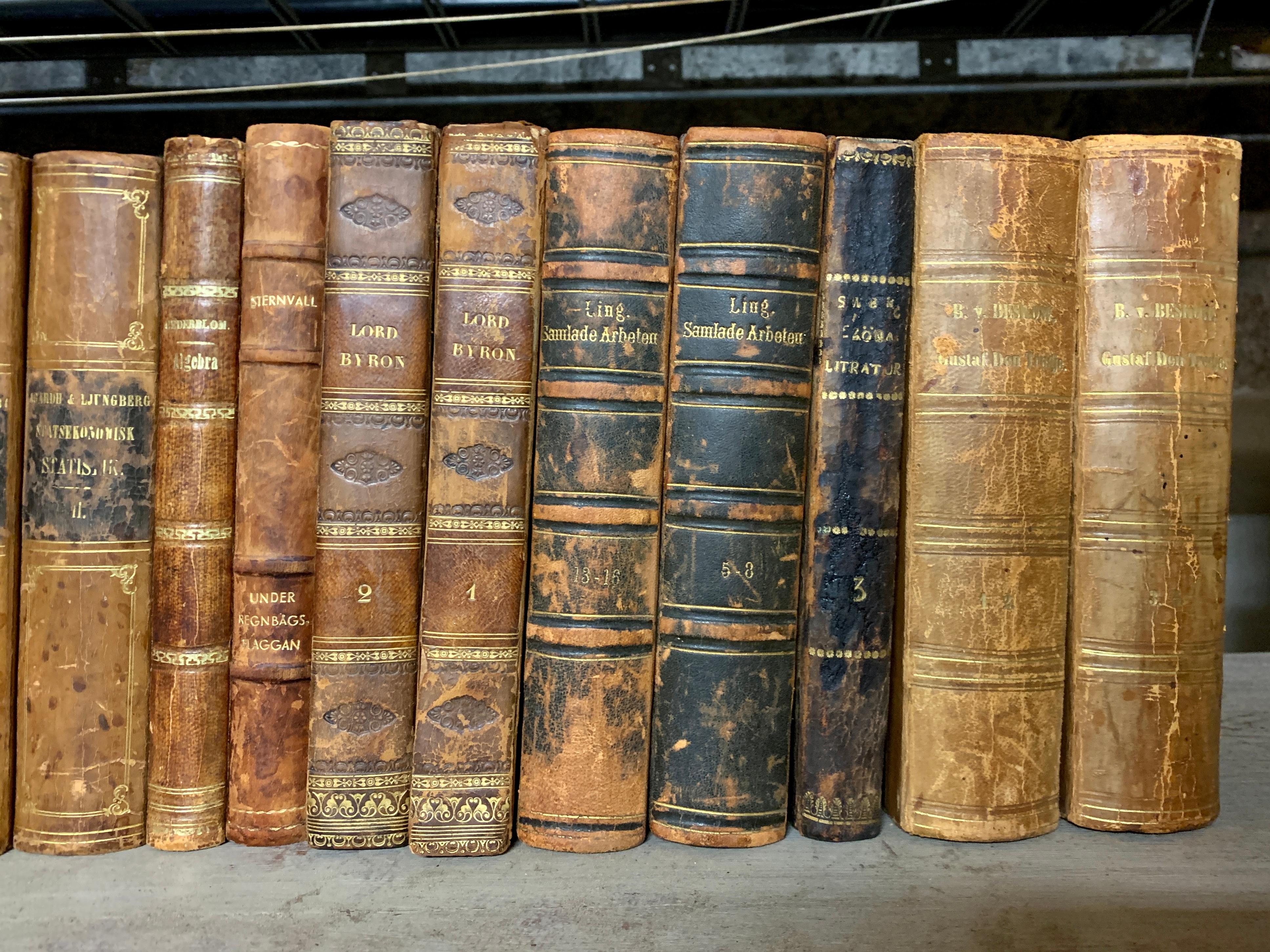 Swedish Set of 24 European 19th Century Leather-Bound Books