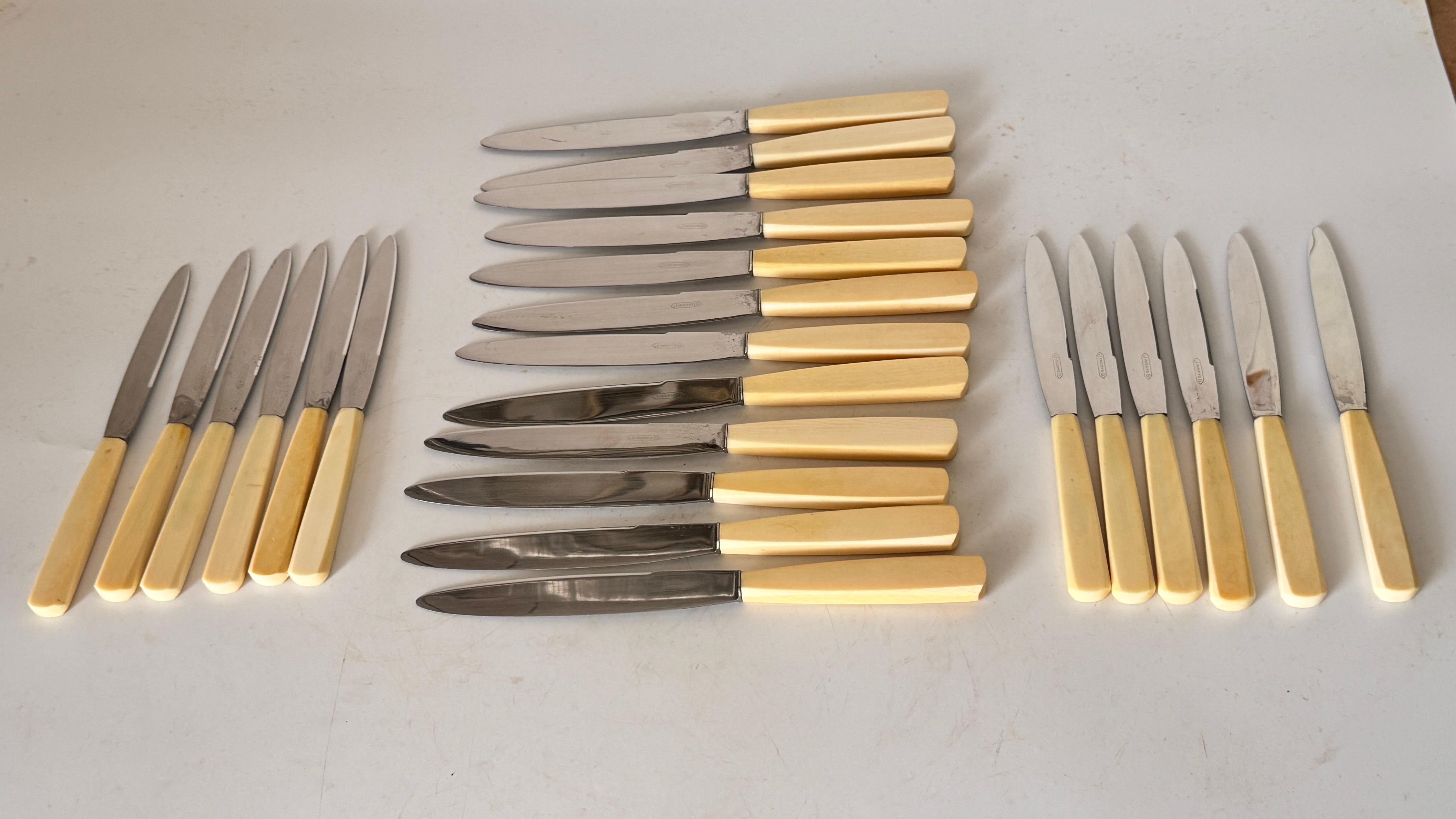 Set of 24 French Art Deco Dinner & Cheese Knives, Steel & Bone Handles, 1970s For Sale 5