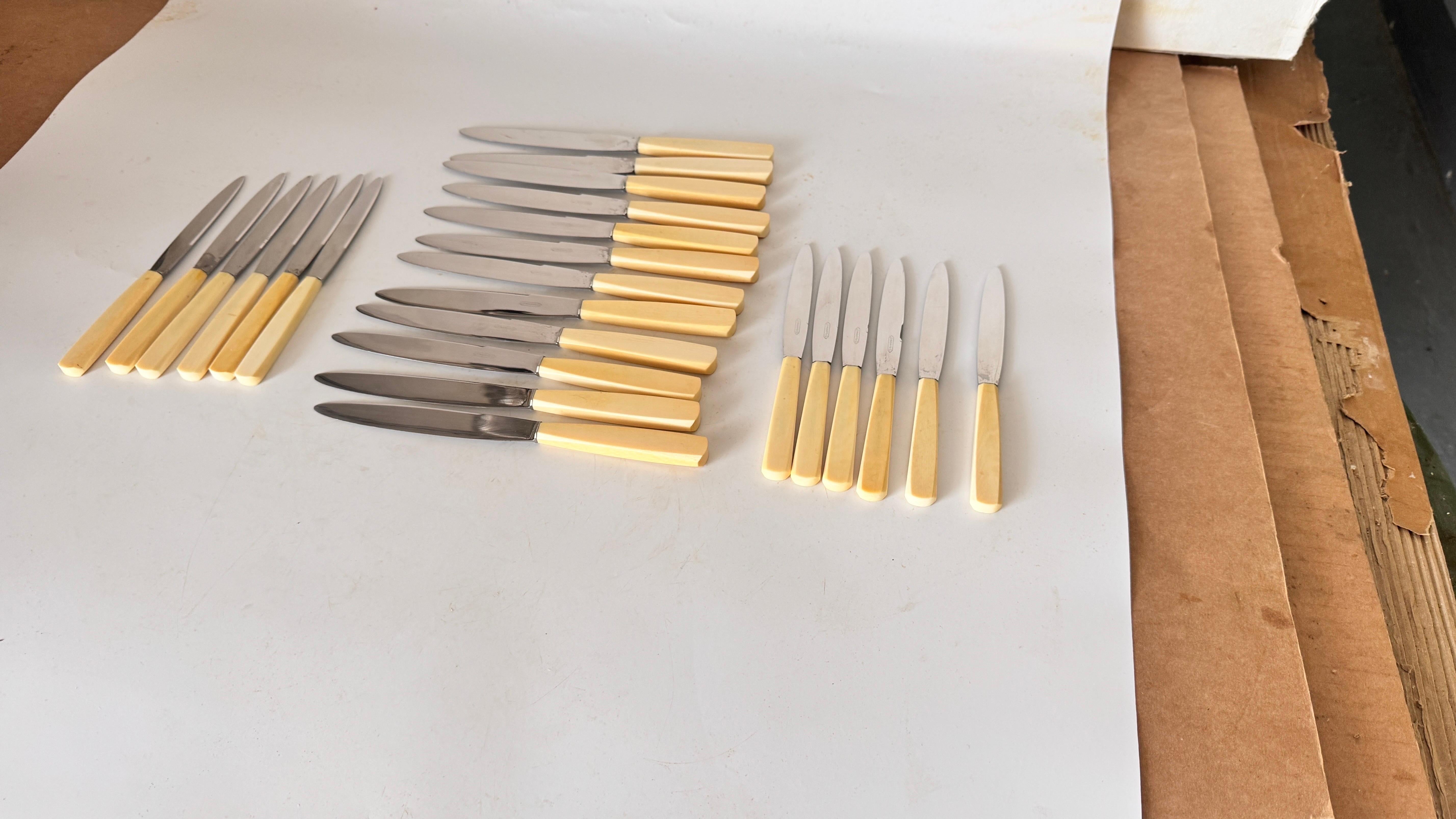 Set of 24 French Art Deco Dinner & Cheese Knives, Steel & Bone Handles, 1970s For Sale 7