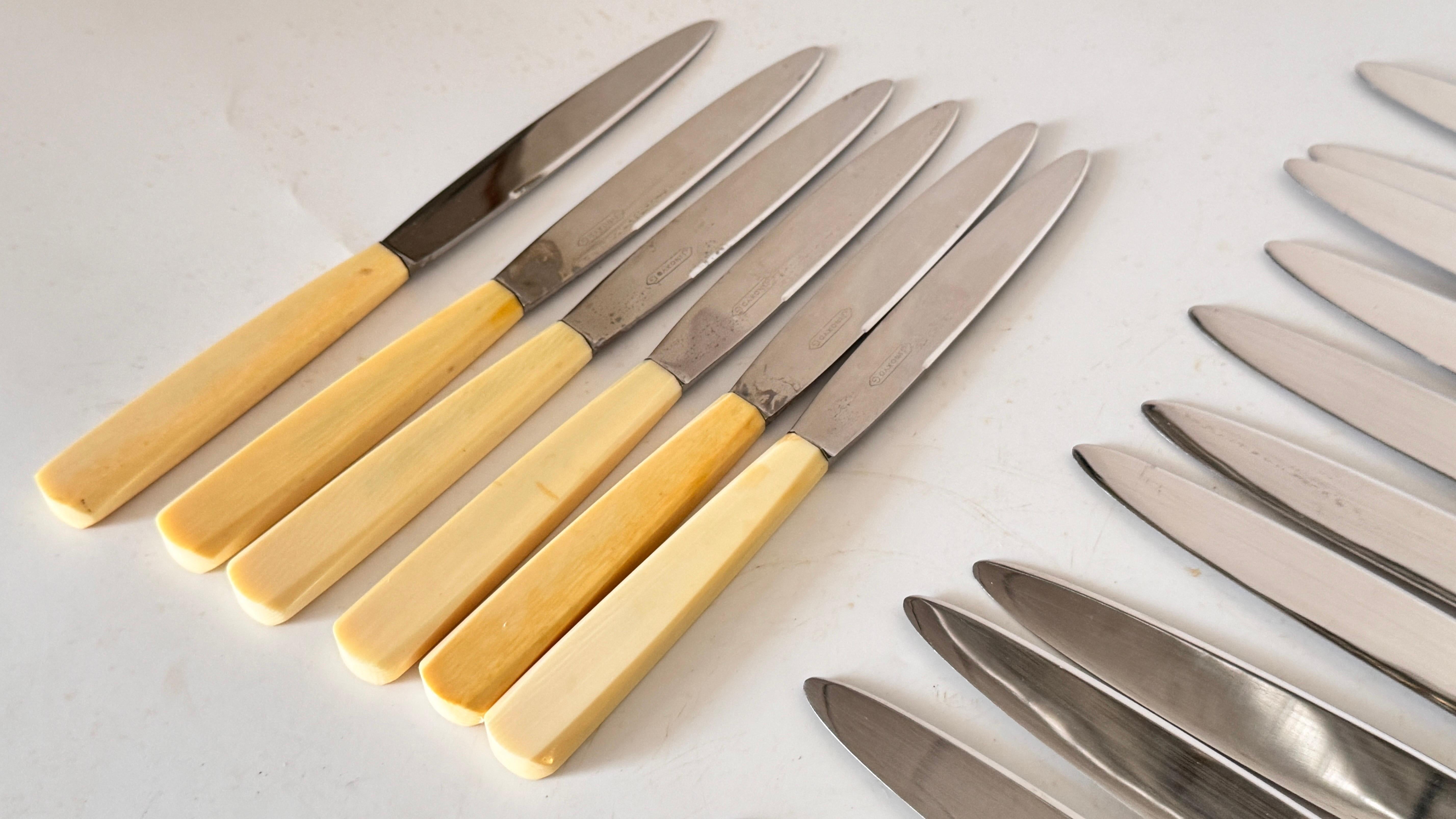 Set of 24 French Art Deco Dinner & Cheese Knives, Steel & Bone Handles, 1970s For Sale 1