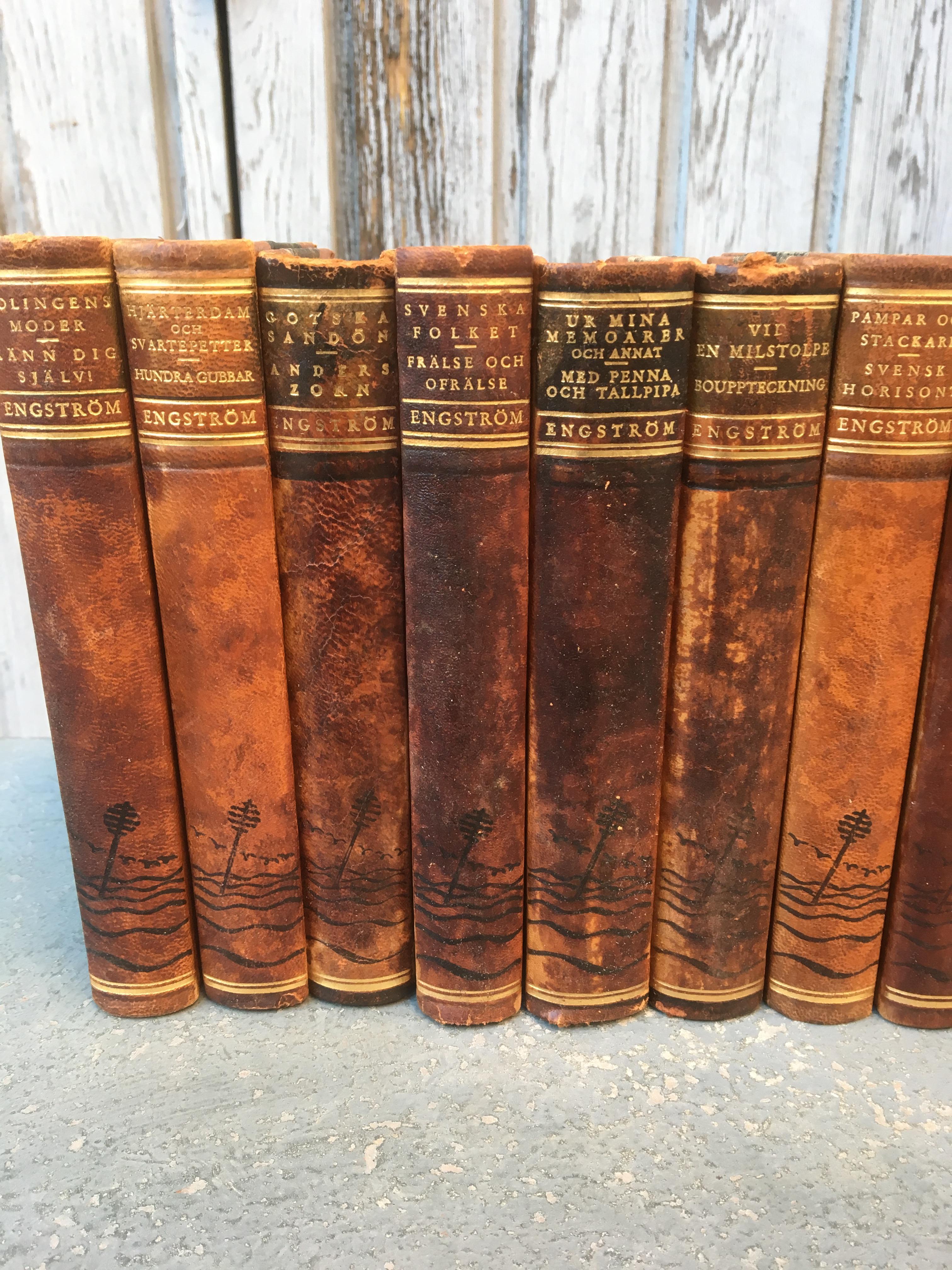 Rustic Set of 25 Swedish Leather-Bound Library Books, 1948