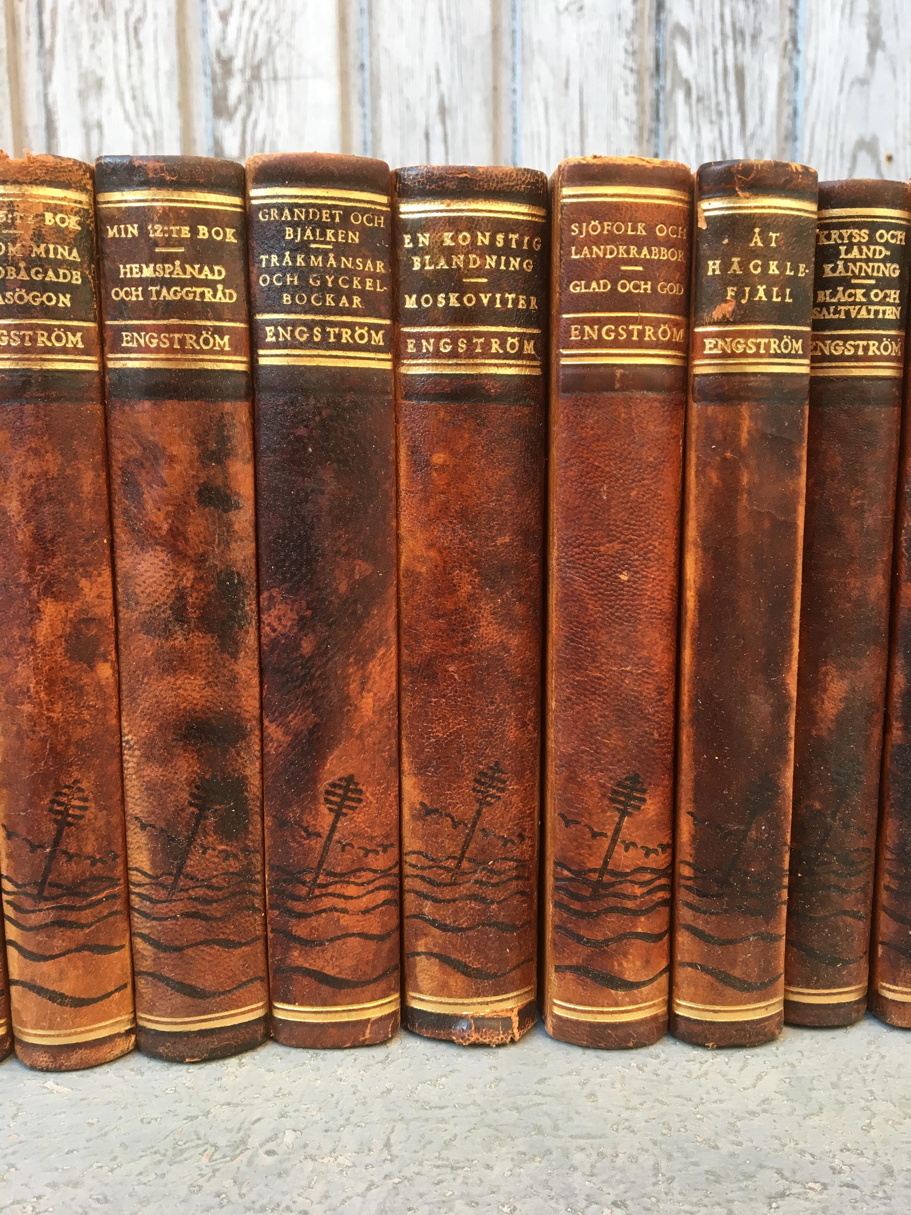 Set of 25 Swedish Leather-Bound Library Books, 1948 In Good Condition In Haddonfield, NJ