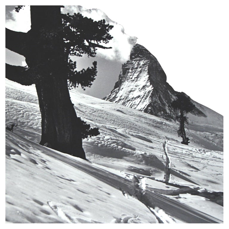 Set of 26 Ski Photographs, 1930's Style For Sale