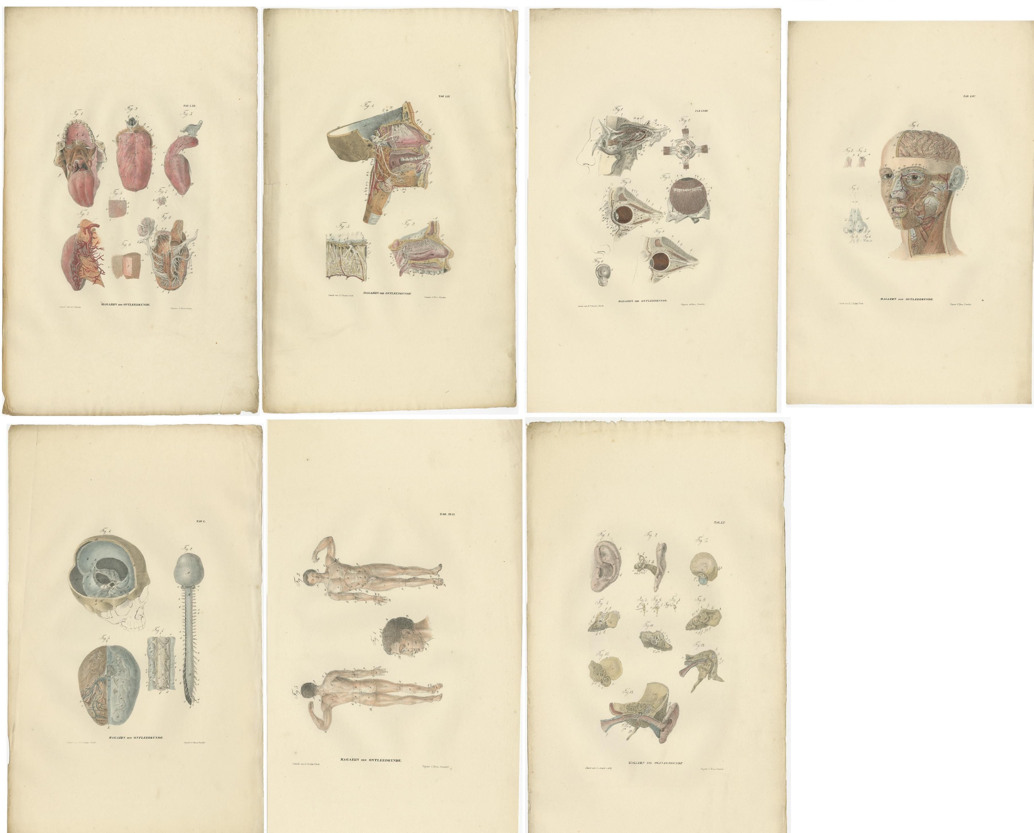 Set of 27 Antique Anatomy Prints of Splanchnology, 1839 In Good Condition For Sale In Langweer, NL